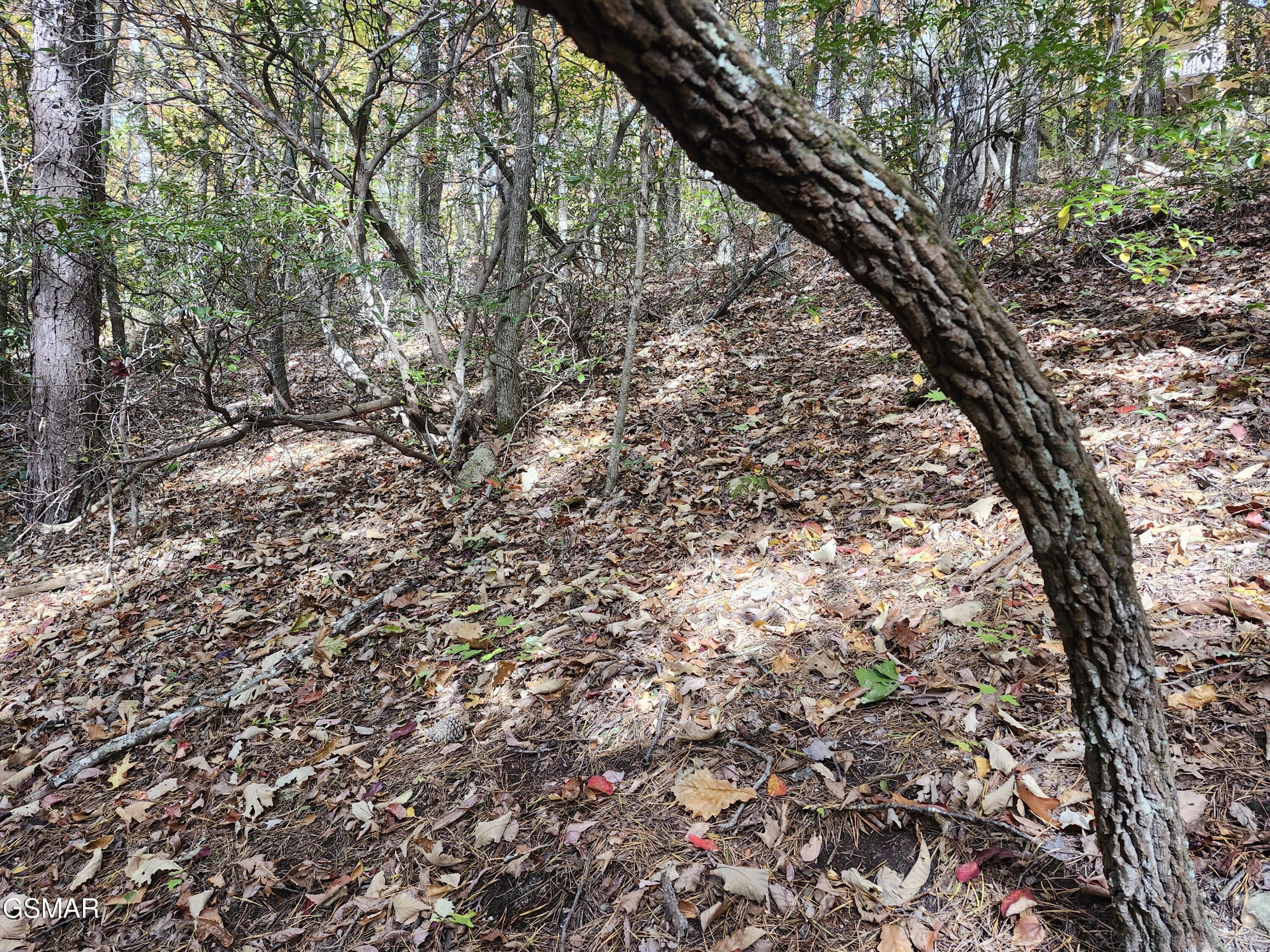 Lot 11 Bluff Mountain Road Sevierville TN 37876