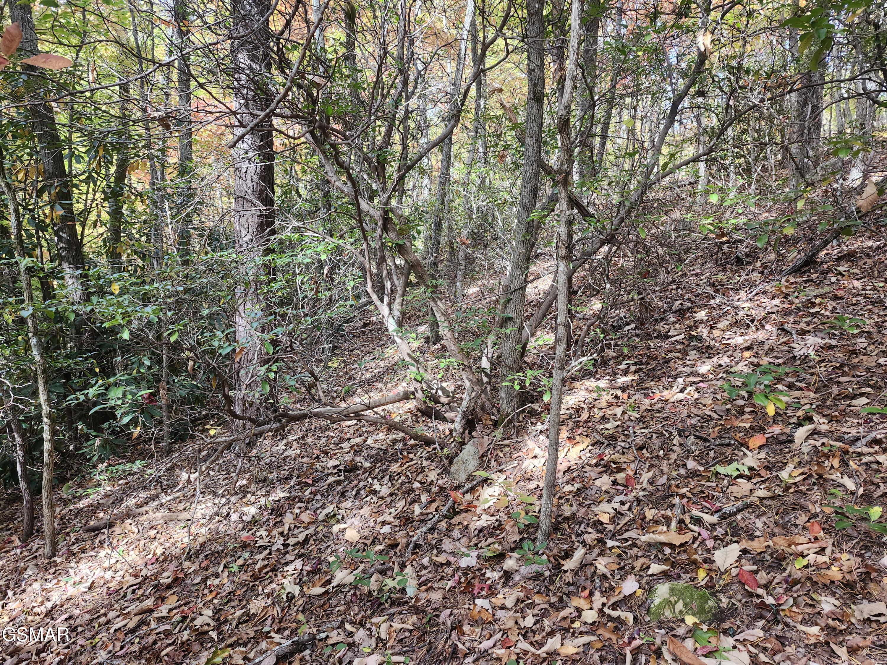 Lot 11 Bluff Mountain Road Sevierville TN 37876