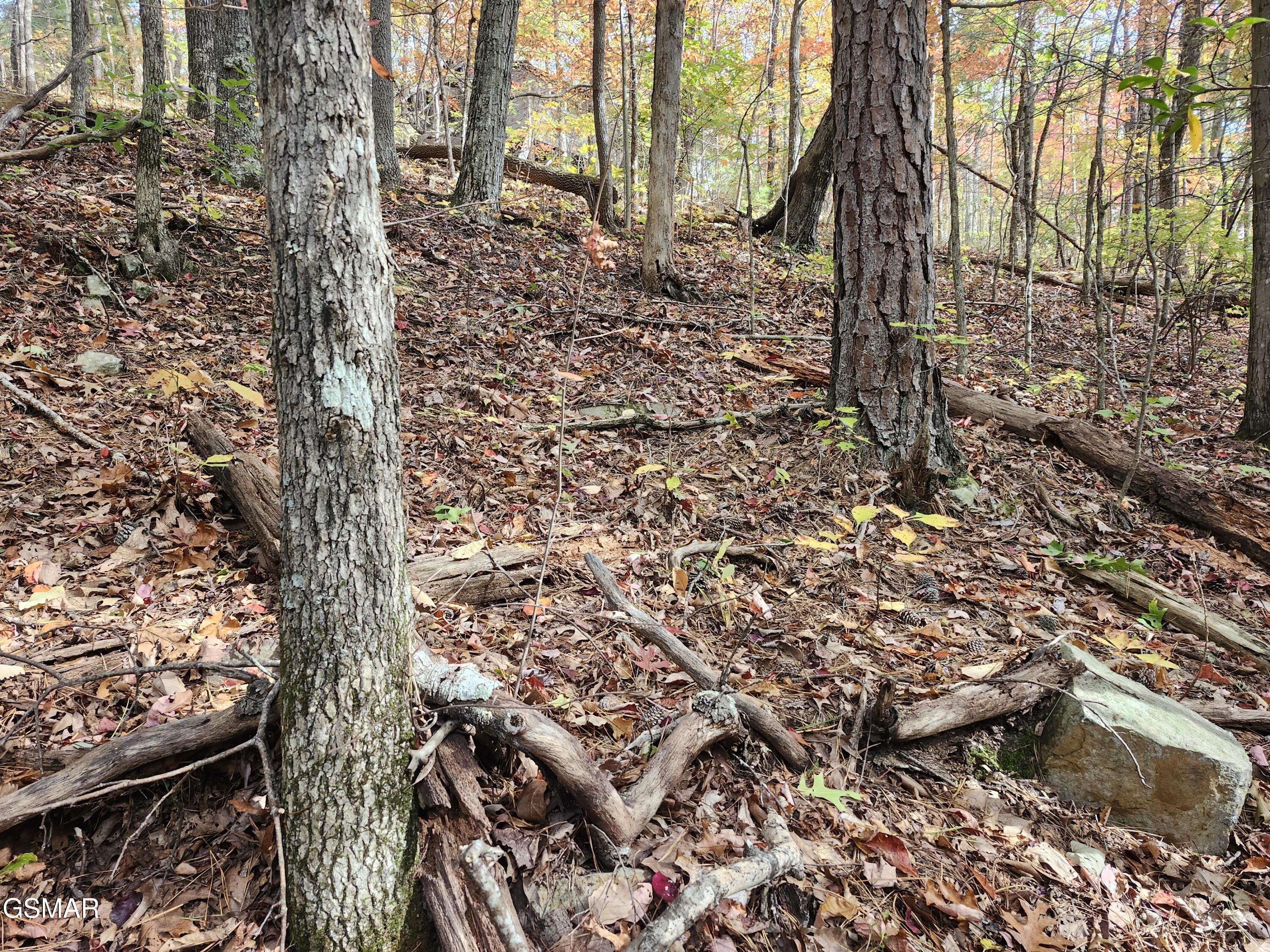 Lot 11 Bluff Mountain Road Sevierville TN 37876