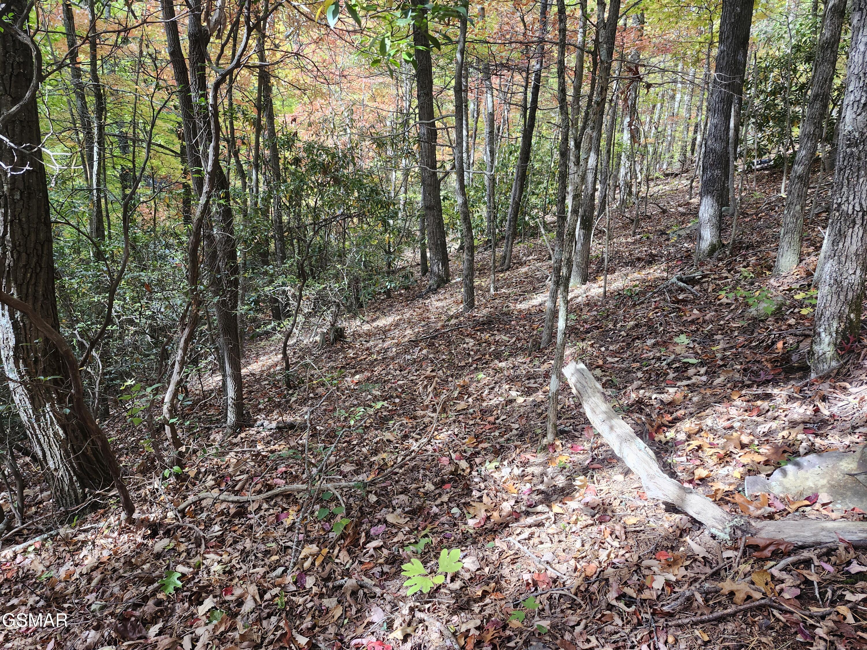 Lot 11 Bluff Mountain Road Sevierville TN 37876