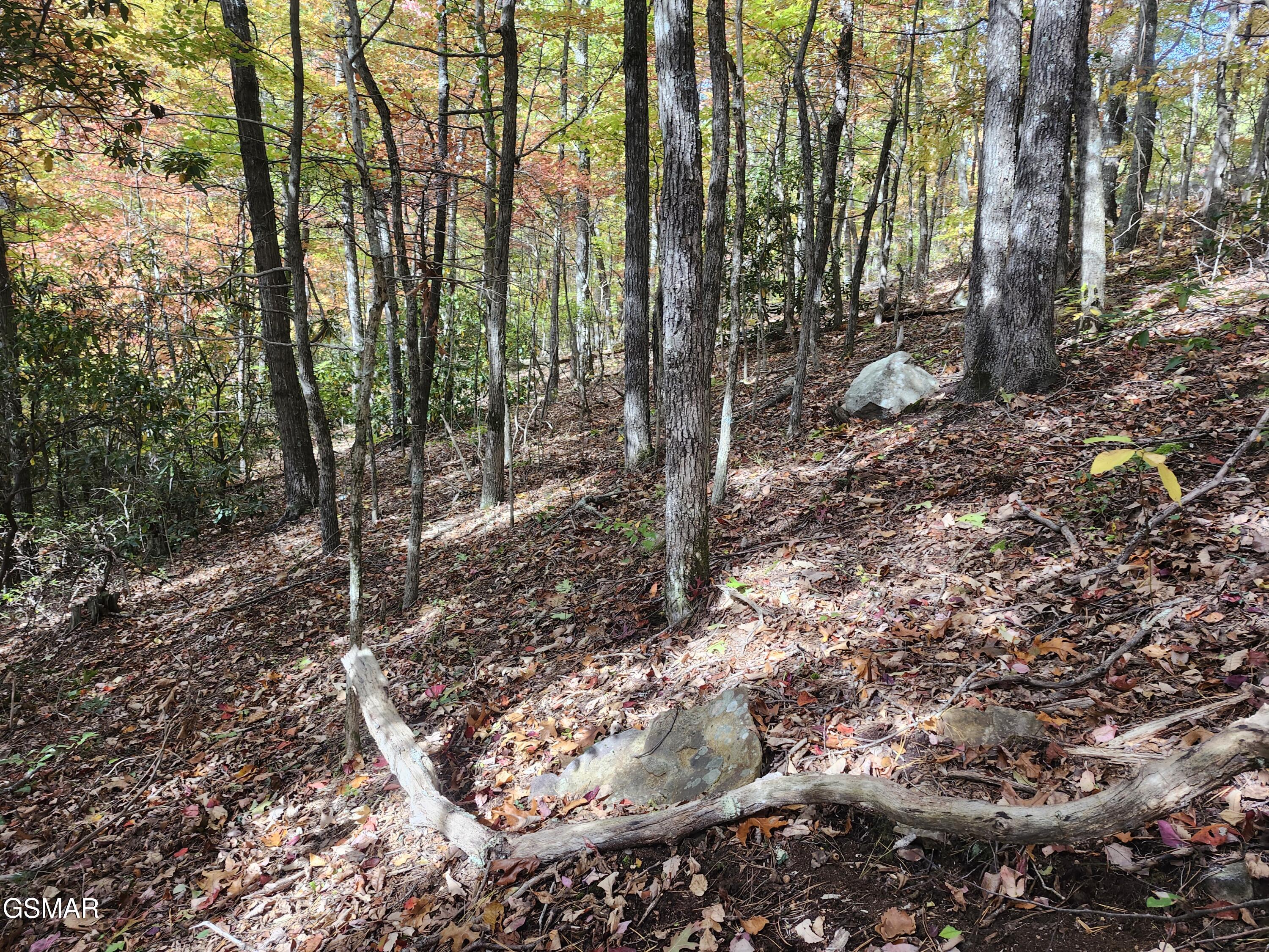 Lot 11 Bluff Mountain Road Sevierville TN 37876