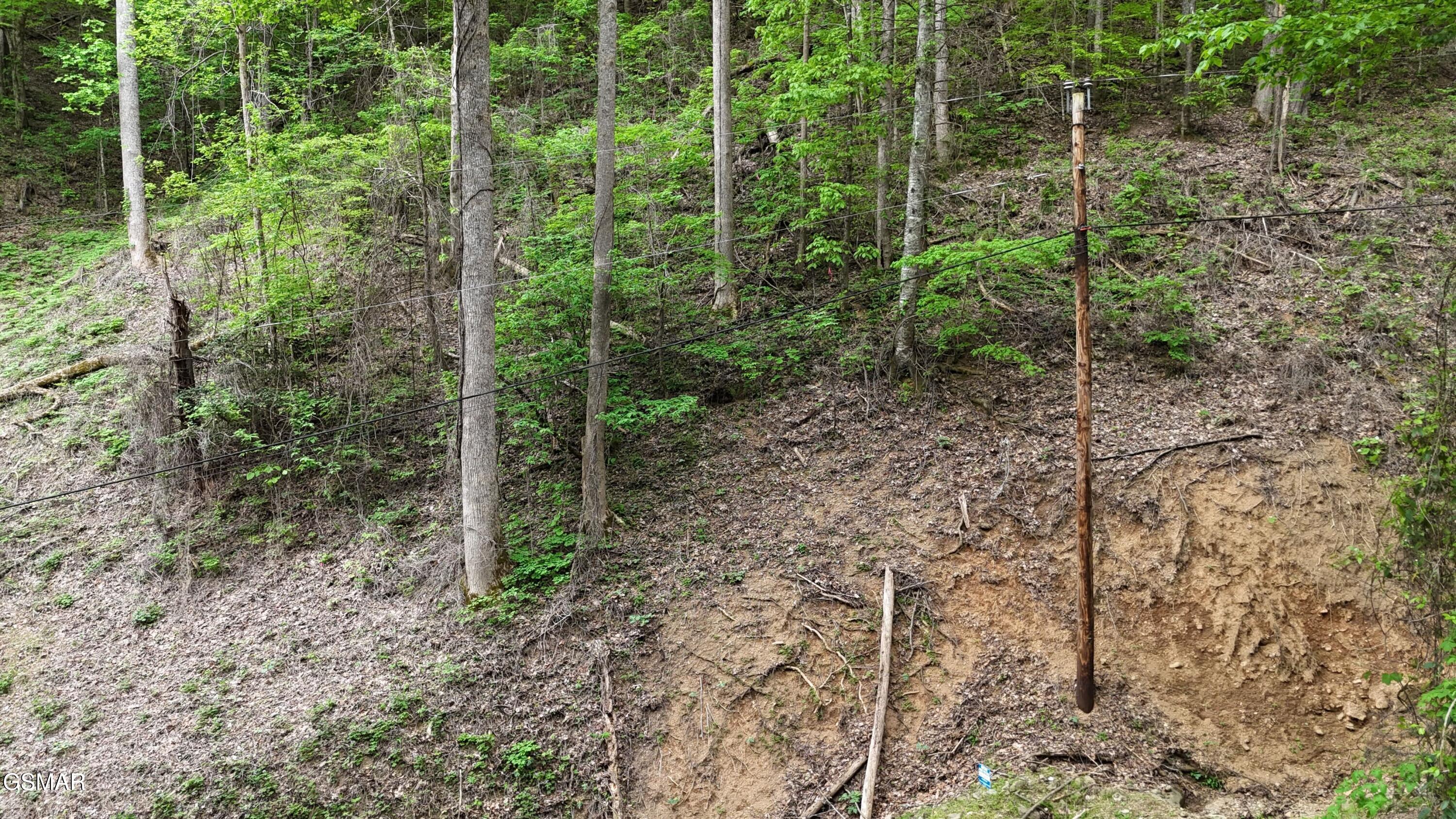 Lot 33 Black Walnut Flats Road Sevierville TN 37876