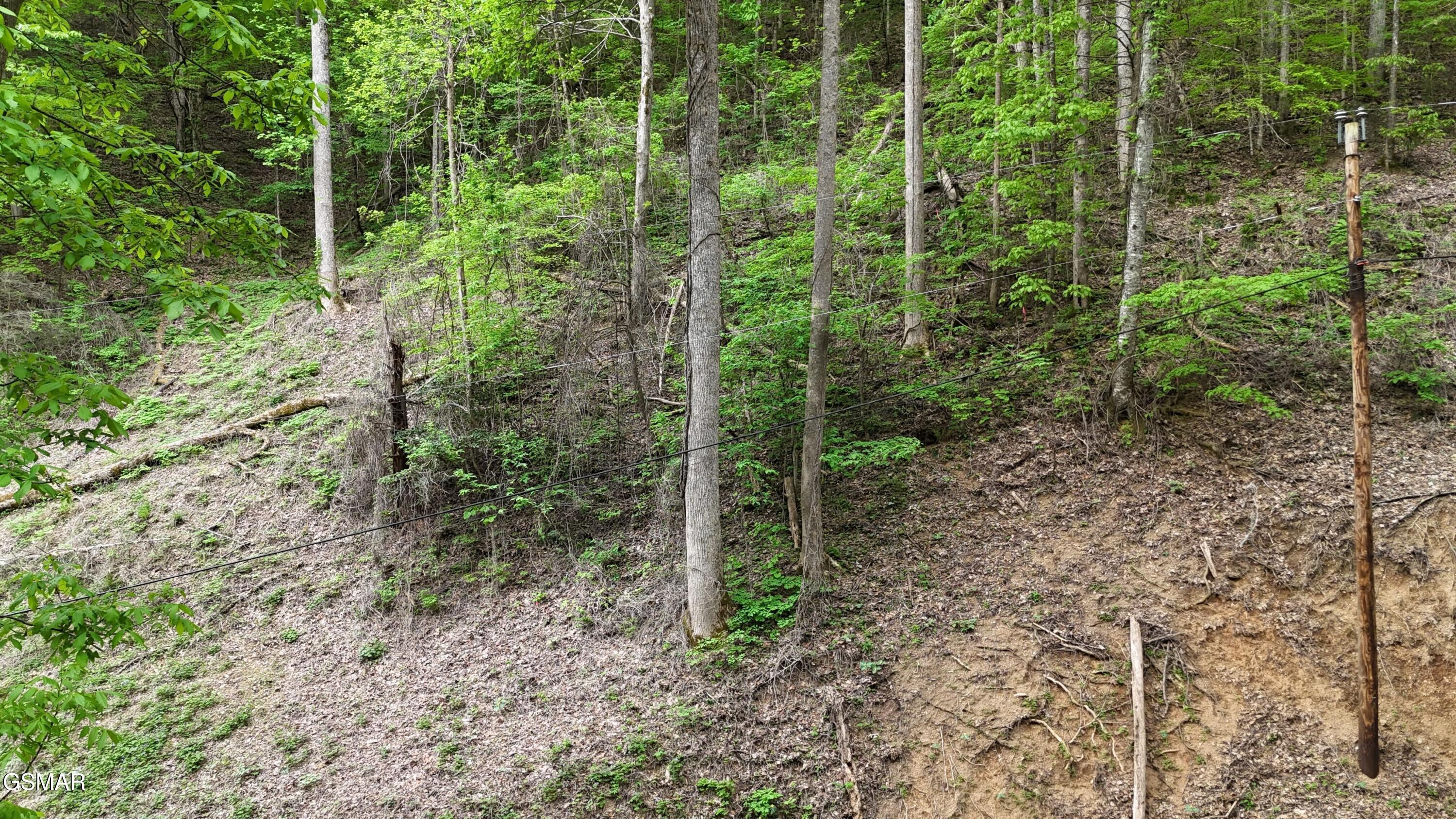 Lot 33 Black Walnut Flats Road Sevierville TN 37876