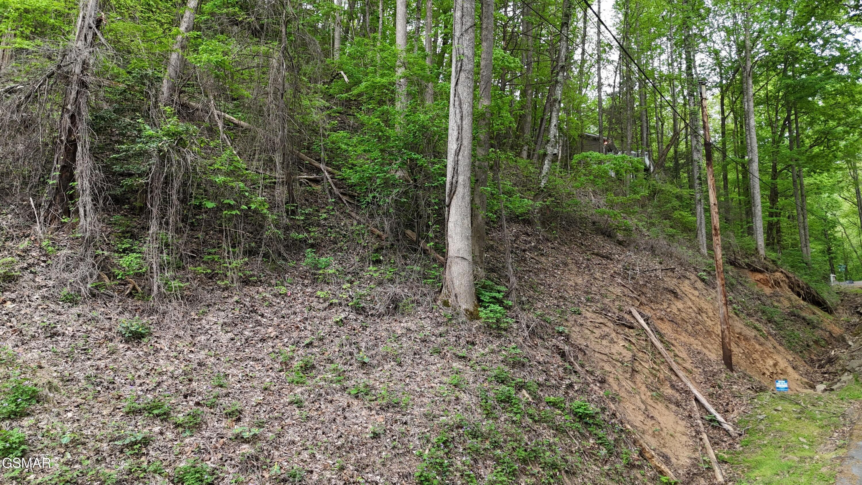 Lot 33 Black Walnut Flats Road Sevierville TN 37876