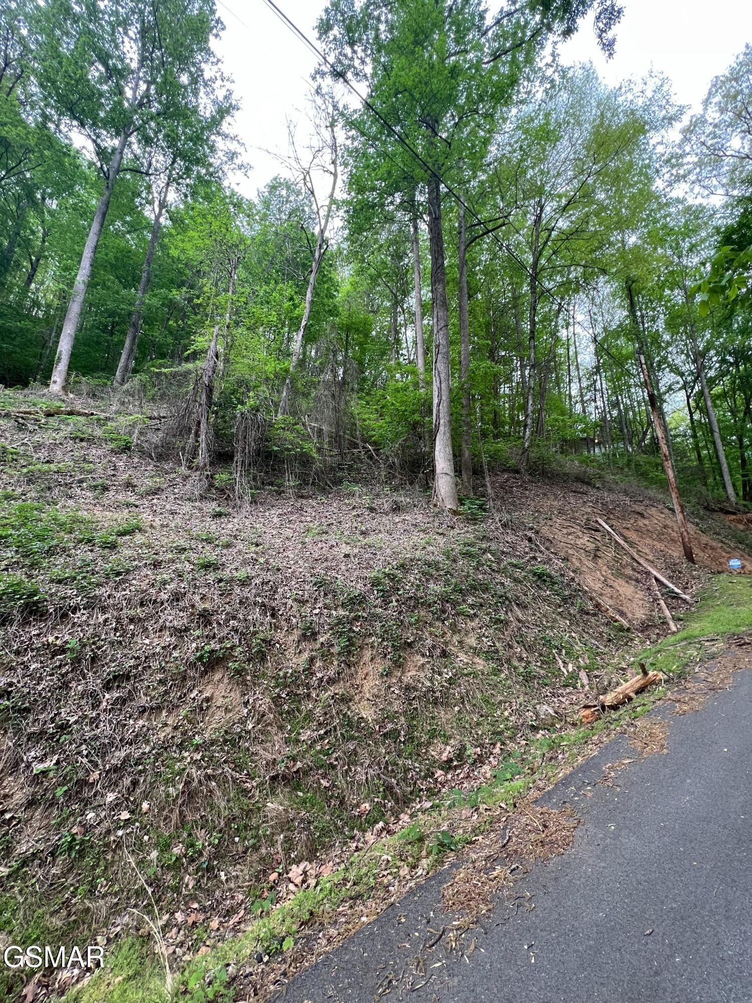 Lot 33 Black Walnut Flats Road Sevierville TN 37876
