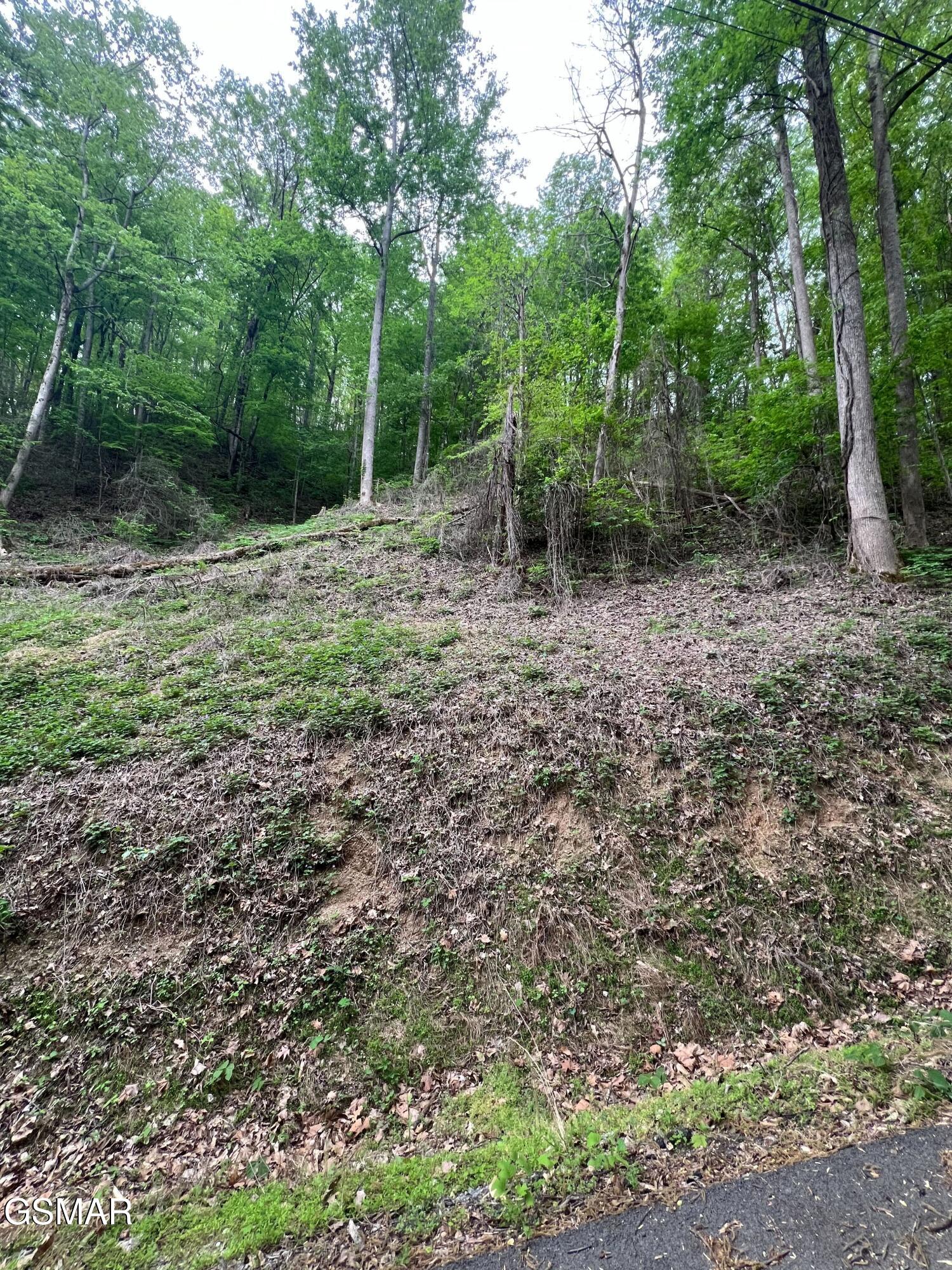 Lot 33 Black Walnut Flats Road Sevierville TN 37876