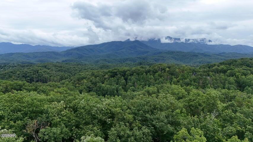 30, 31, 32 N Highland Drive Gatlinburg TN 37738