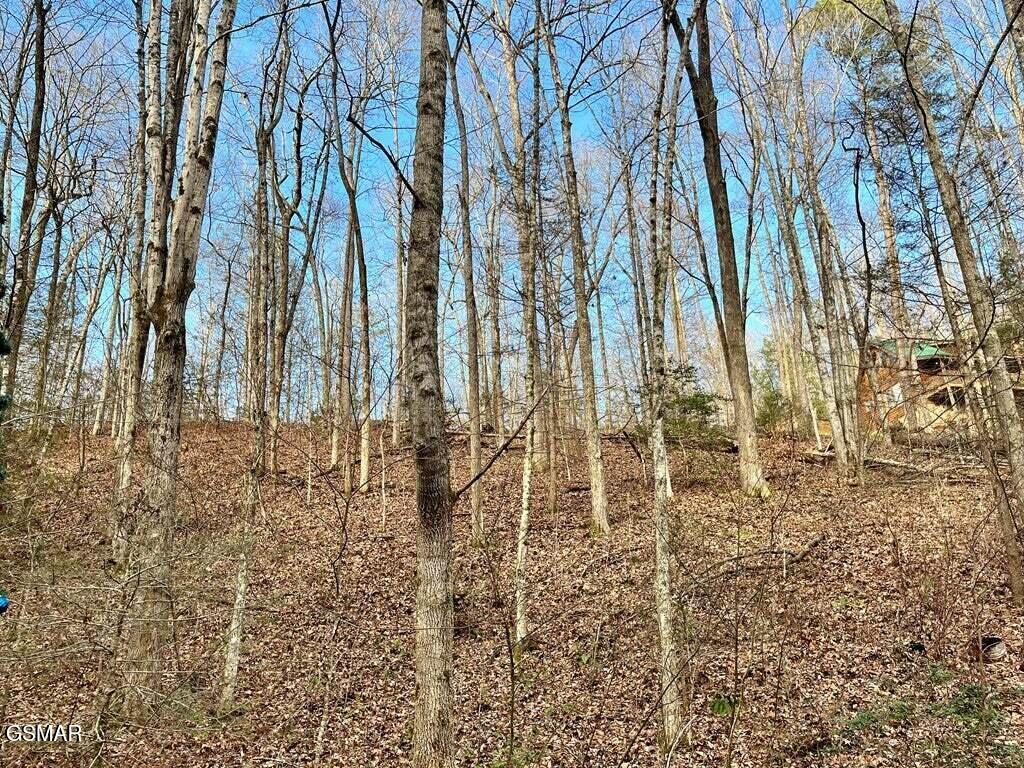 30, 31, 32 N Highland Drive Gatlinburg TN 37738