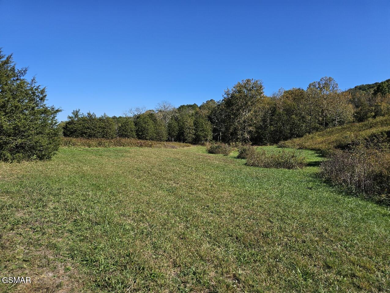 Lot 35 Shoreline Vista Sharps Chapel TN 37866