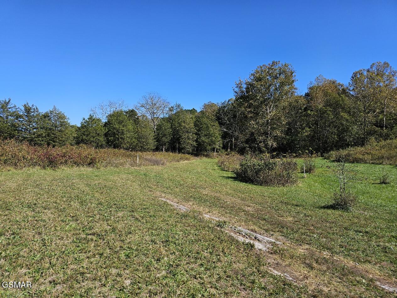 Lot 35 Shoreline Vista Sharps Chapel TN 37866