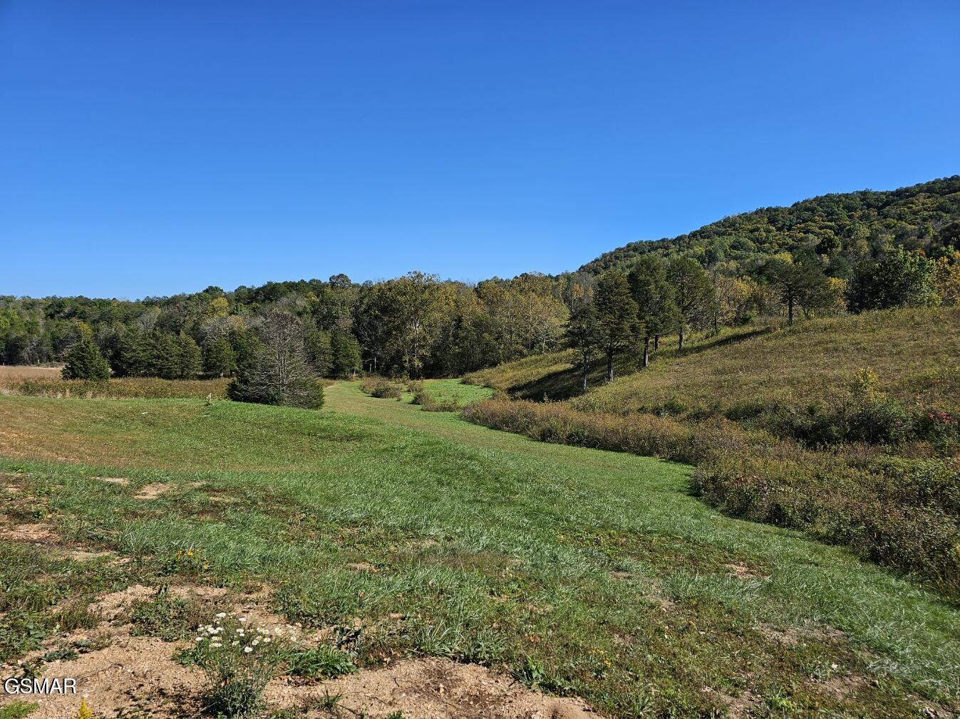 Lot 35 Shoreline Vista Sharps Chapel TN 37866