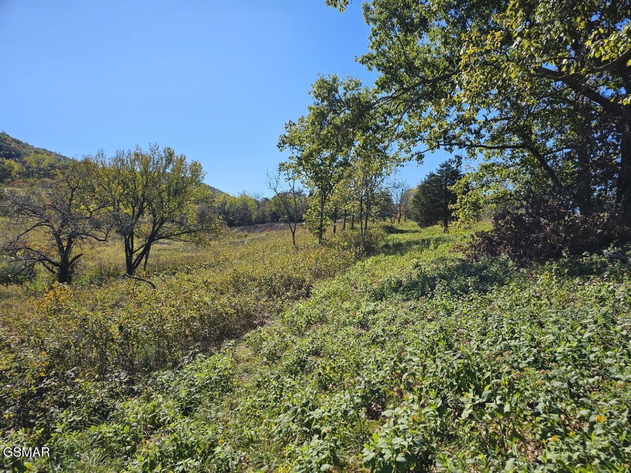 Lot 35 Shoreline Vista Sharps Chapel TN 37866
