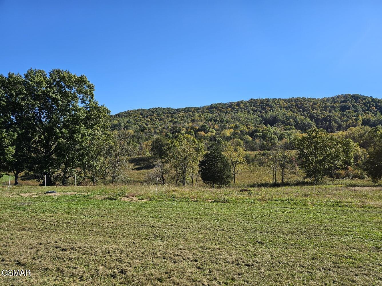 Lot 35 Shoreline Vista Sharps Chapel TN 37866