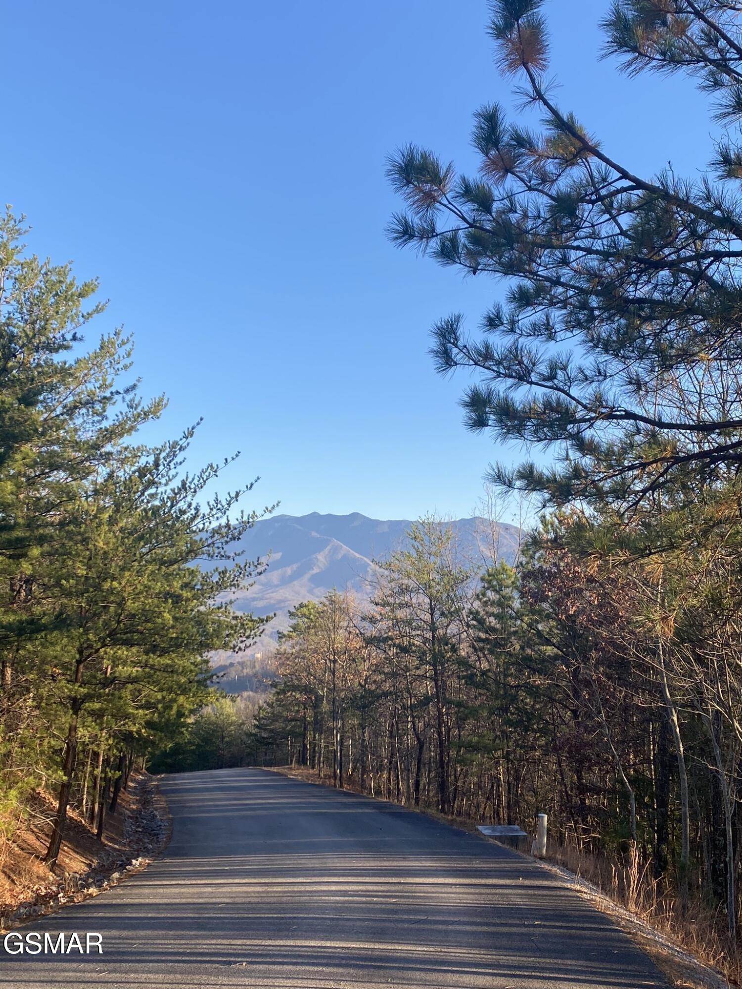 D7 Lightning Bug Way Gatlinburg TN 37738