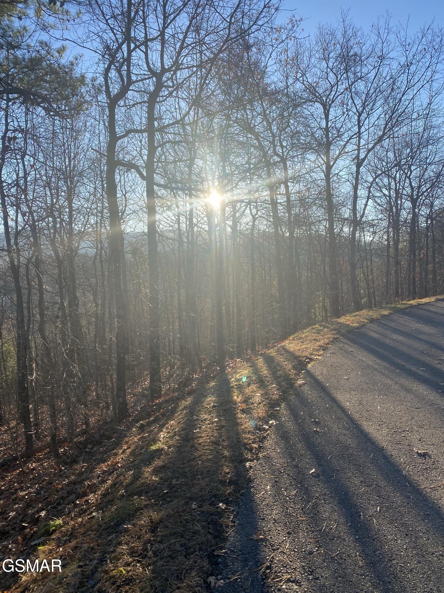 D7 Lightning Bug Way Gatlinburg TN 37738