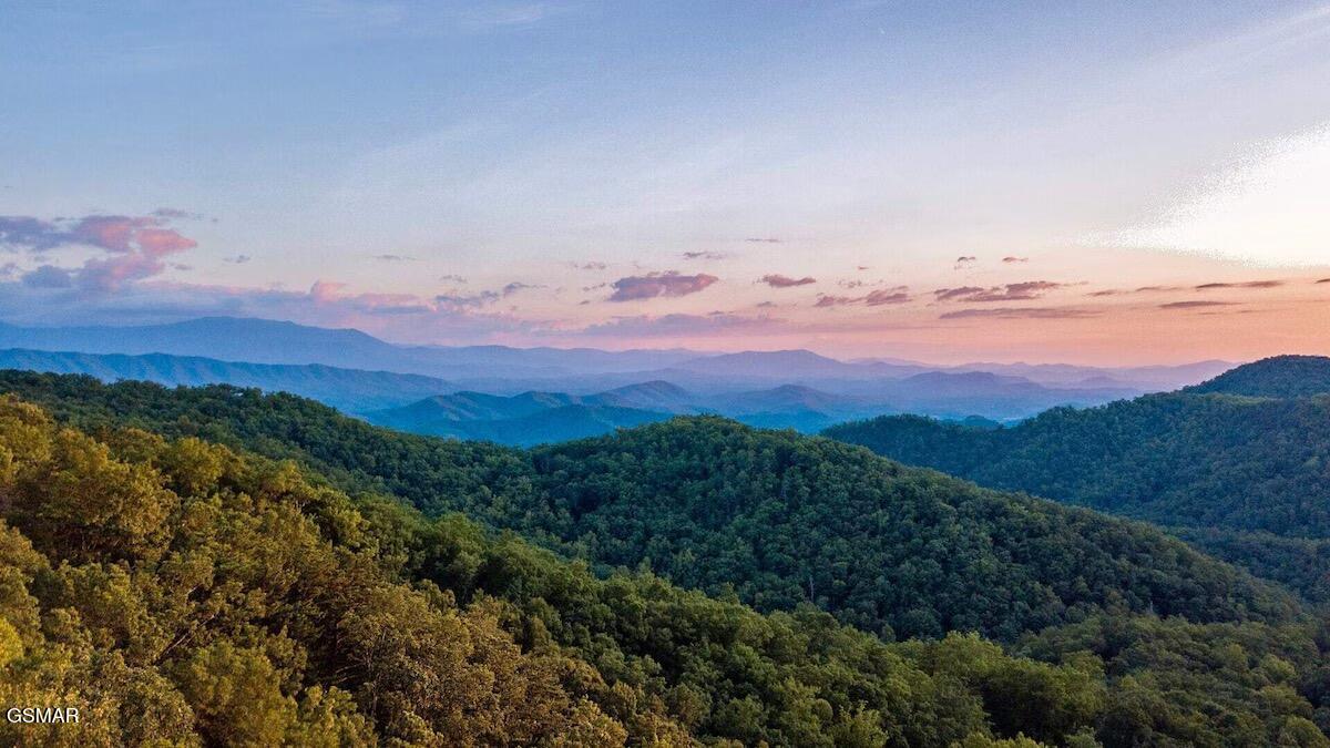 D7 Lightning Bug Way Gatlinburg TN 37738