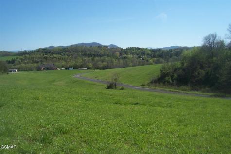 Lot 31 Splendor Way Parrottsville TN 37843