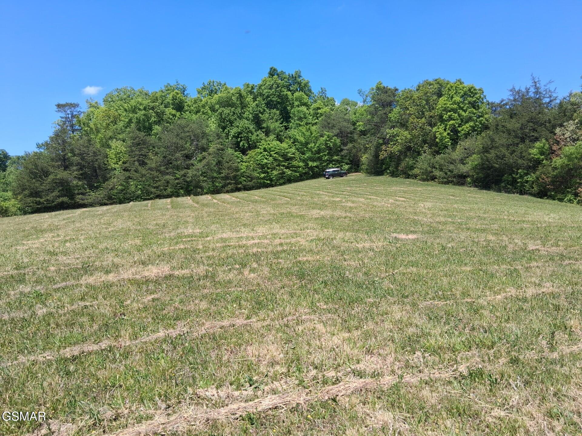 Lot 31 Splendor Way Parrottsville TN 37843