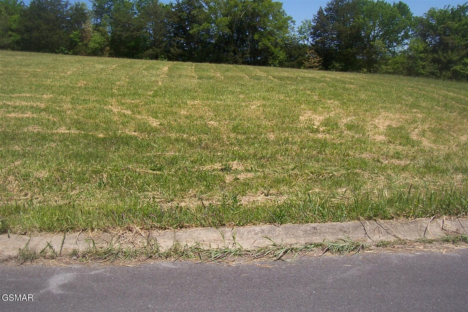 Lot 31 Splendor Way Parrottsville TN 37843