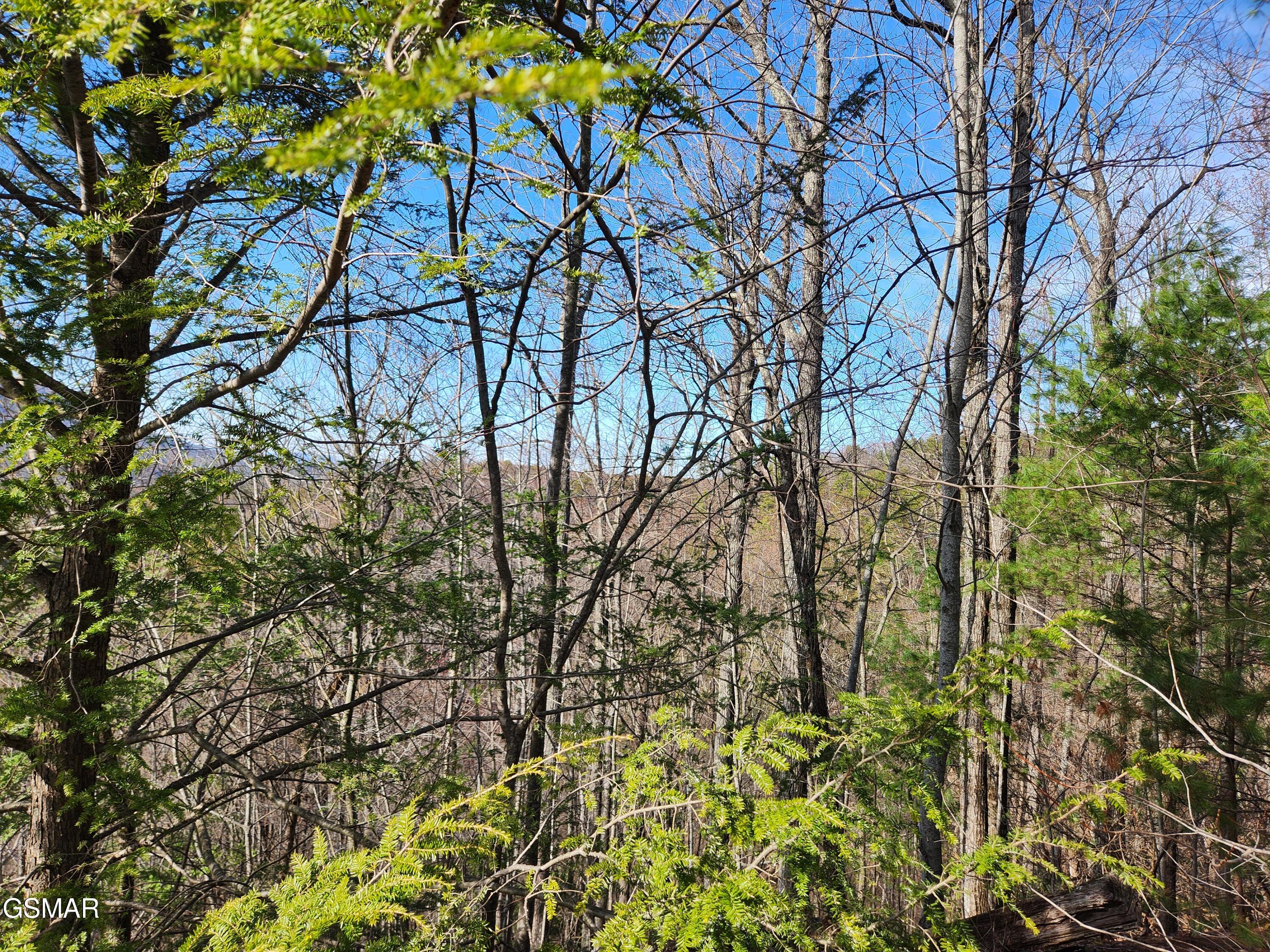 Lot 46 Feld Wynde Close Way Sevierville TN 37862