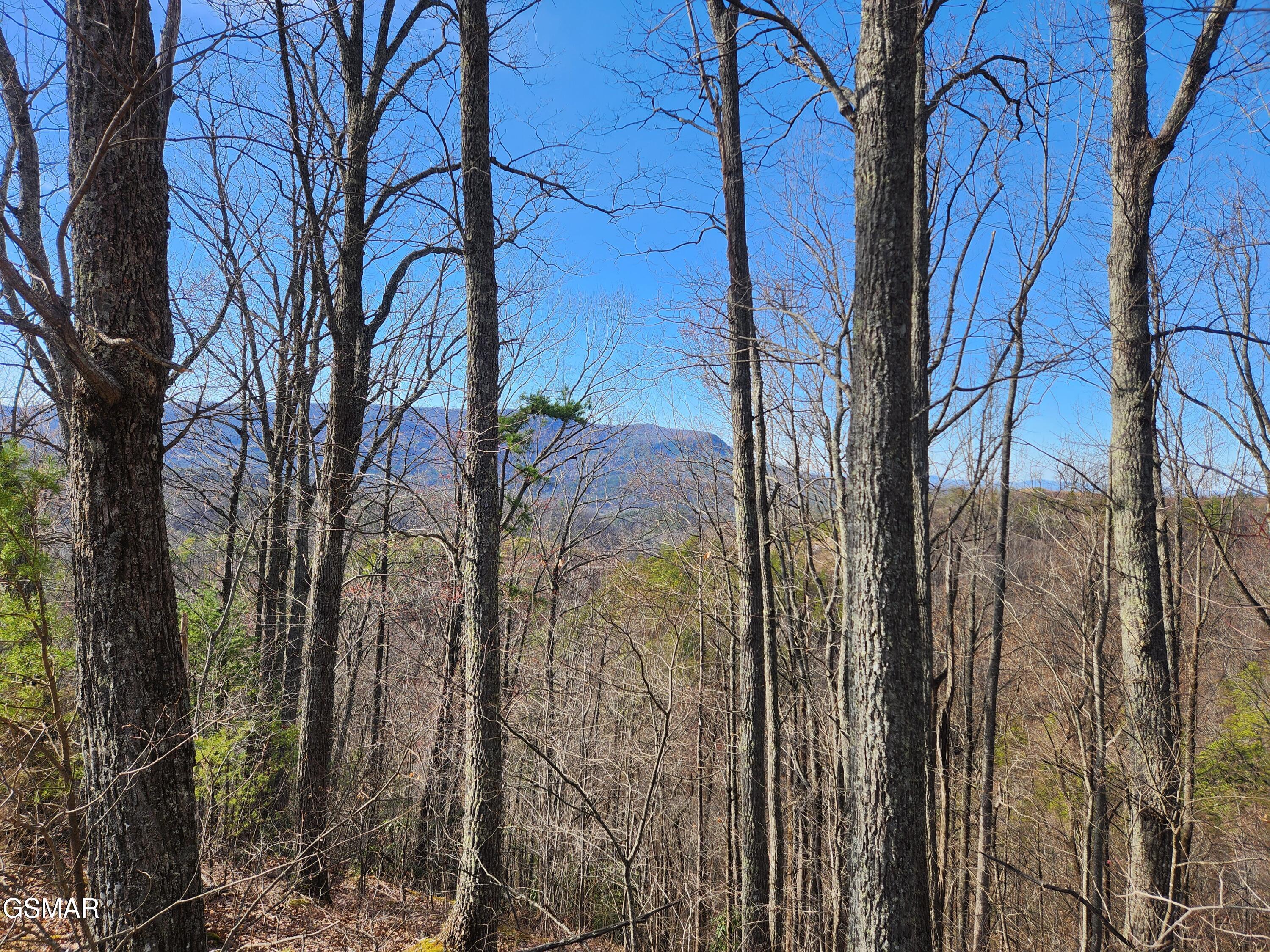 Lot 46 Feld Wynde Close Way Sevierville TN 37862