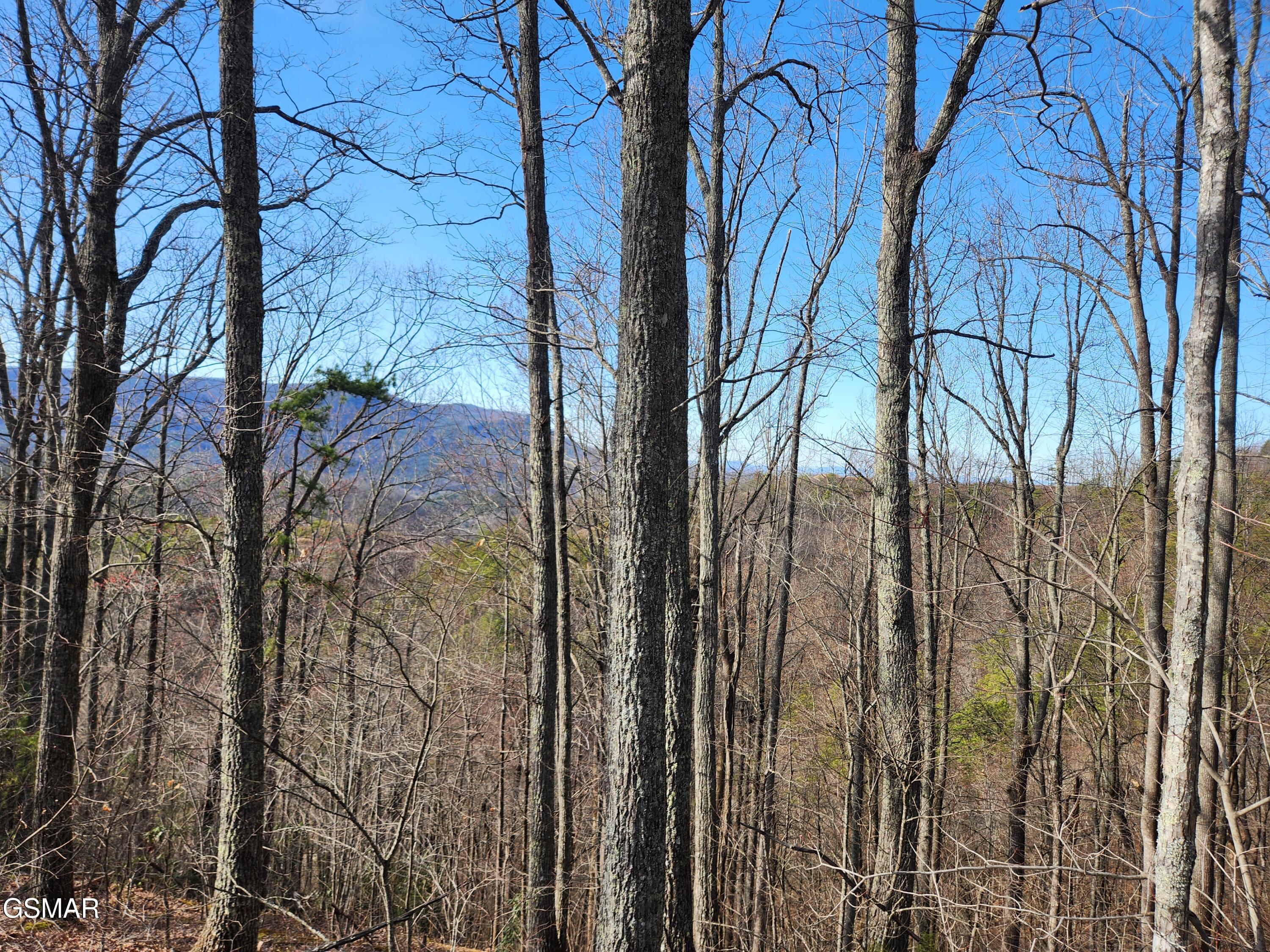 Lot 46 Feld Wynde Close Way Sevierville TN 37862