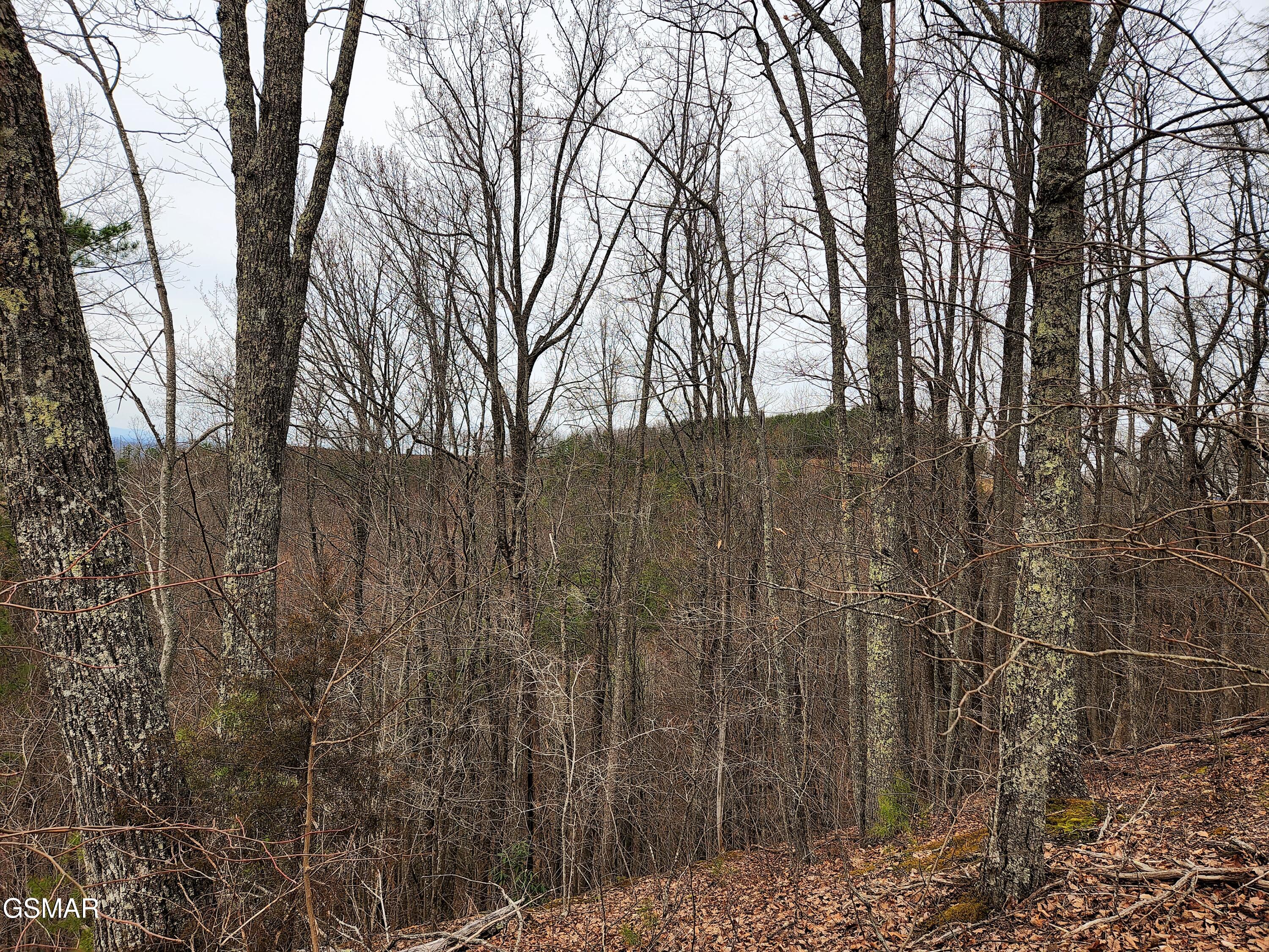 Lot 46 Feld Wynde Close Way Sevierville TN 37862