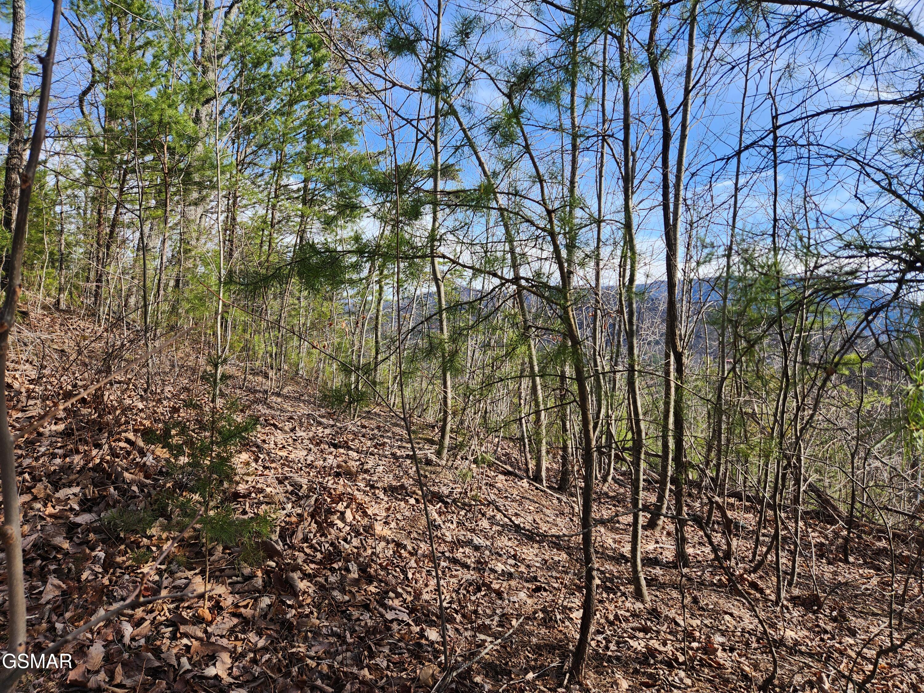 Lot 46 Feld Wynde Close Way Sevierville TN 37862