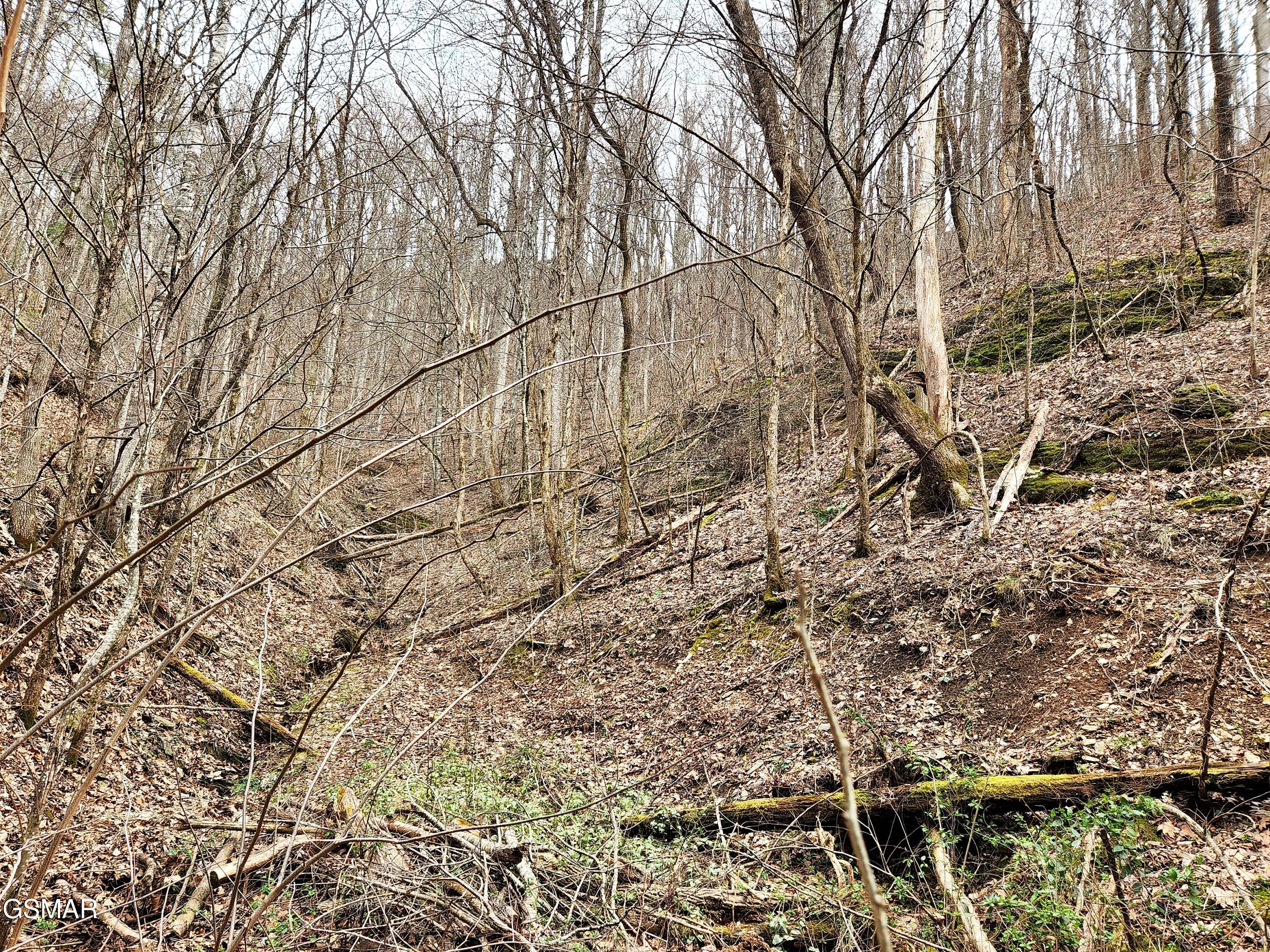 Lot 46 Feld Wynde Close Way Sevierville TN 37862