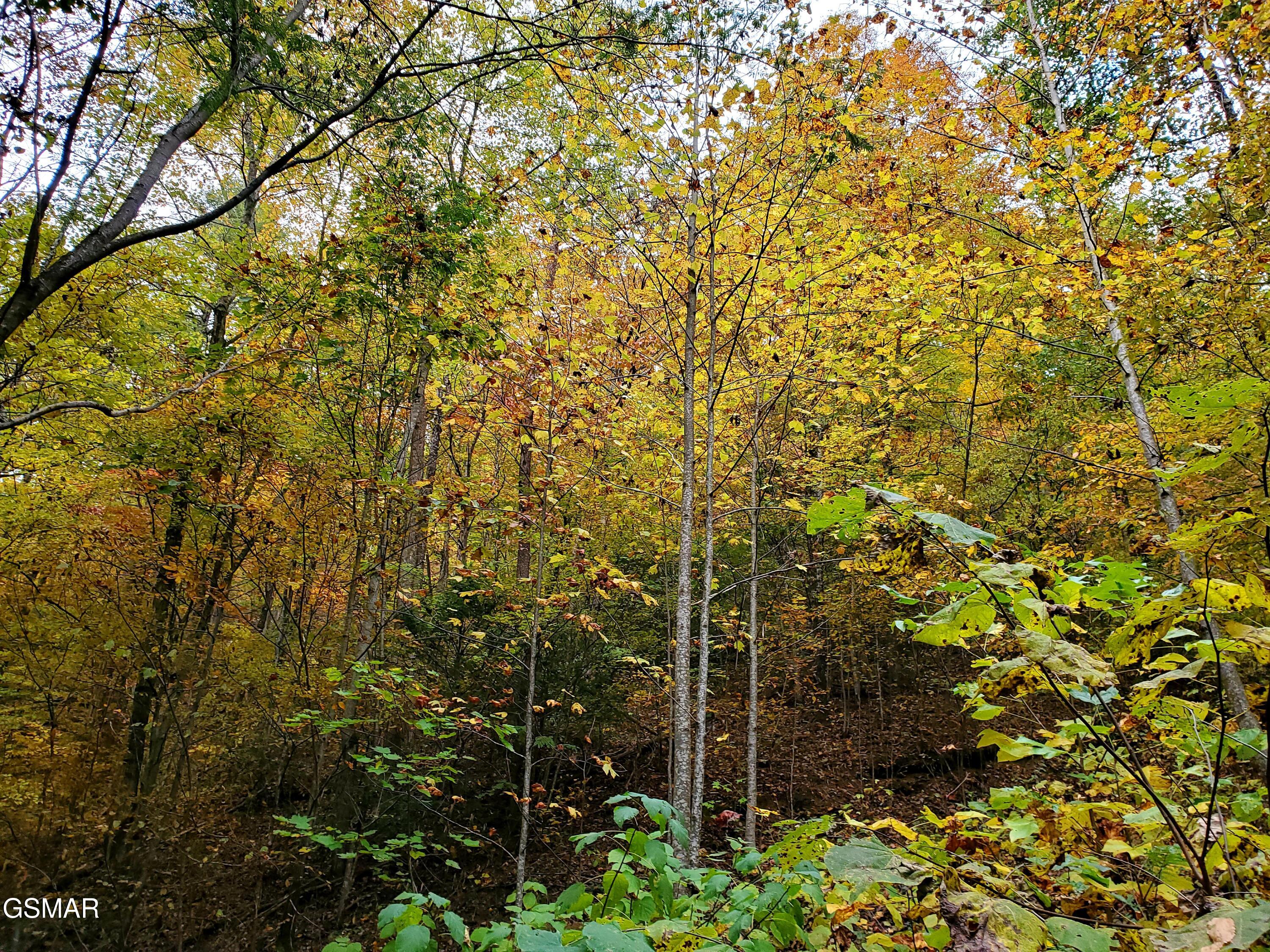 Lot 46 Feld Wynde Close Way Sevierville TN 37862