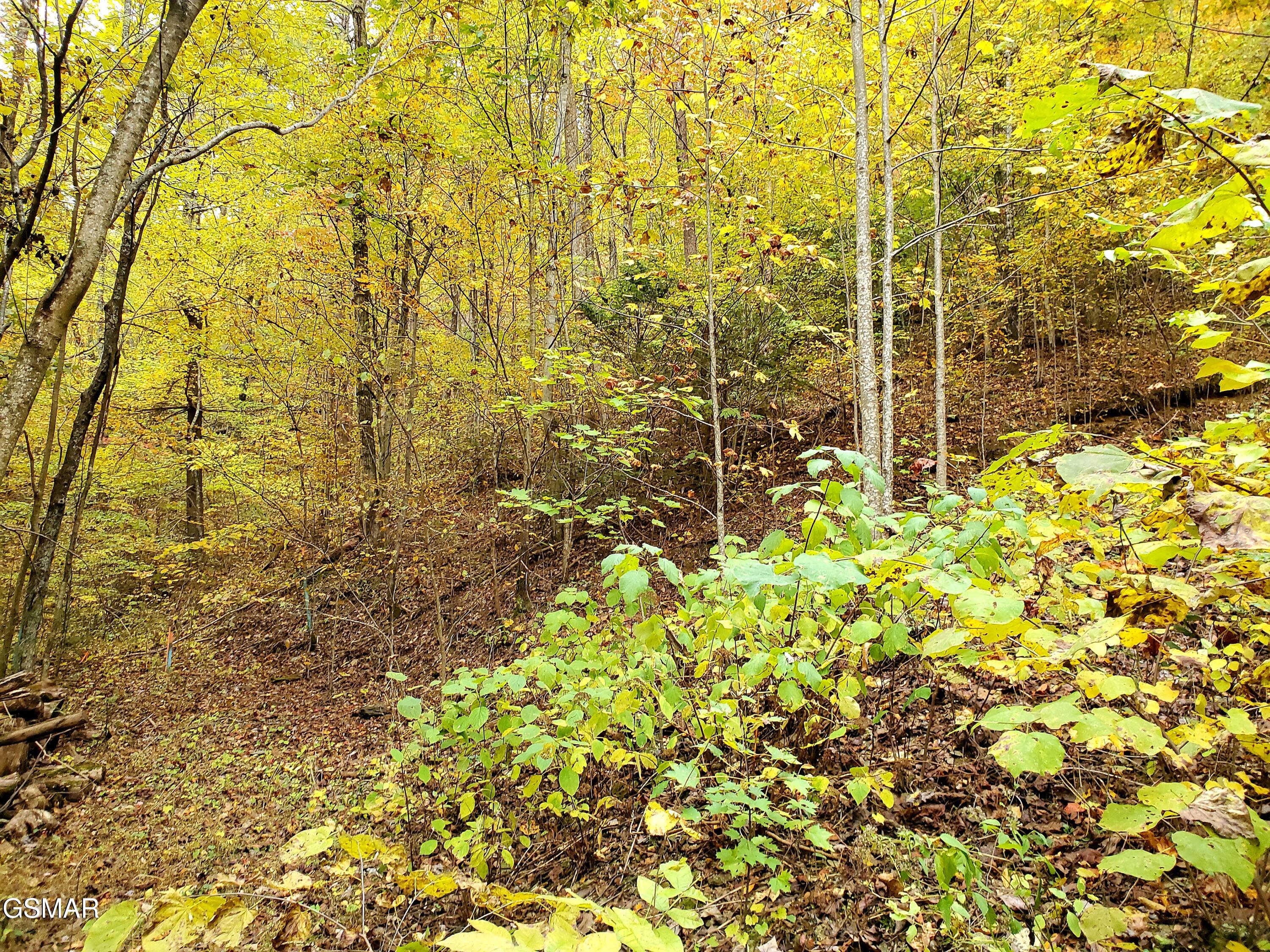 Lot 46 Feld Wynde Close Way Sevierville TN 37862