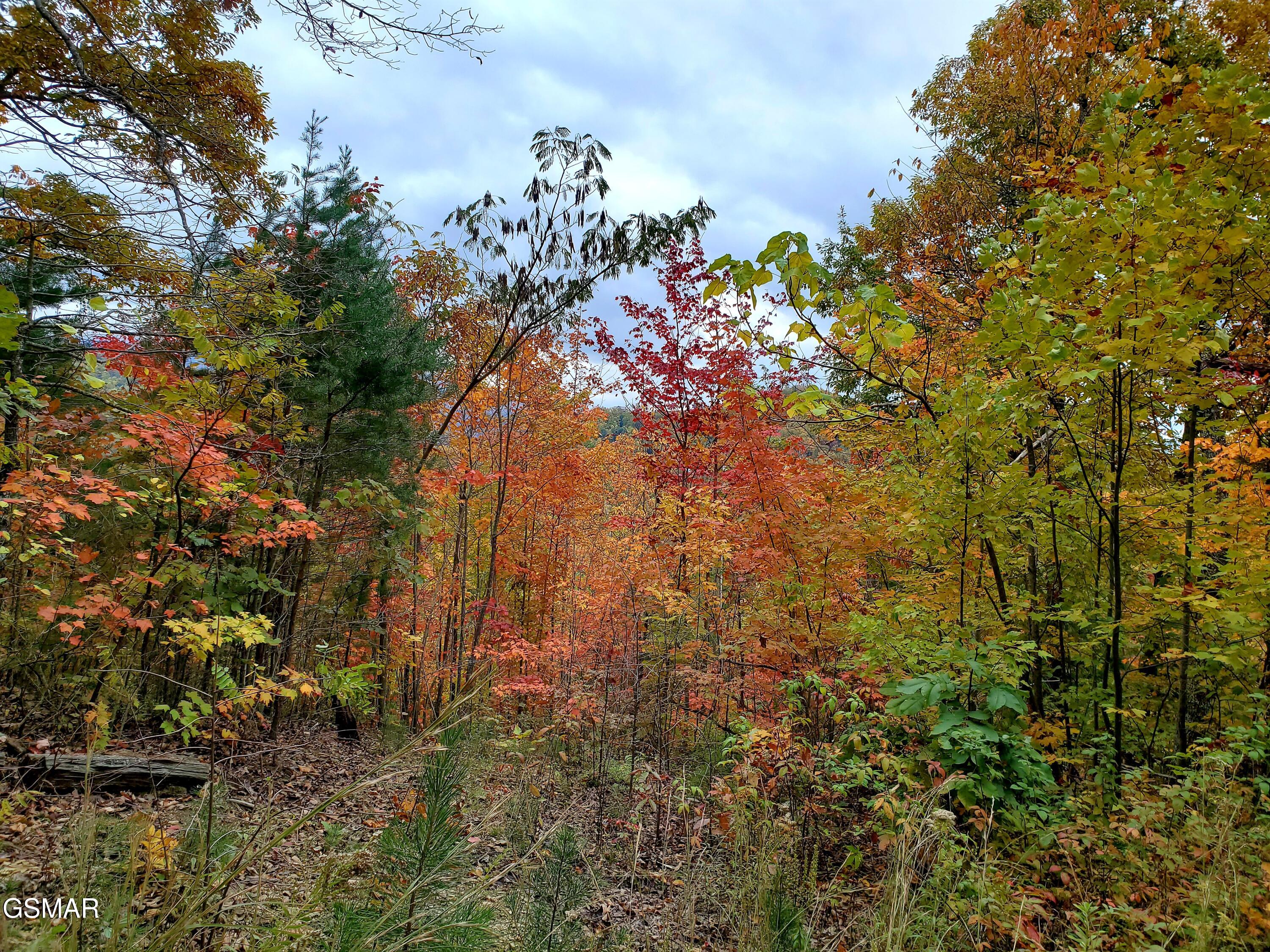 Lot 46 Feld Wynde Close Way Sevierville TN 37862