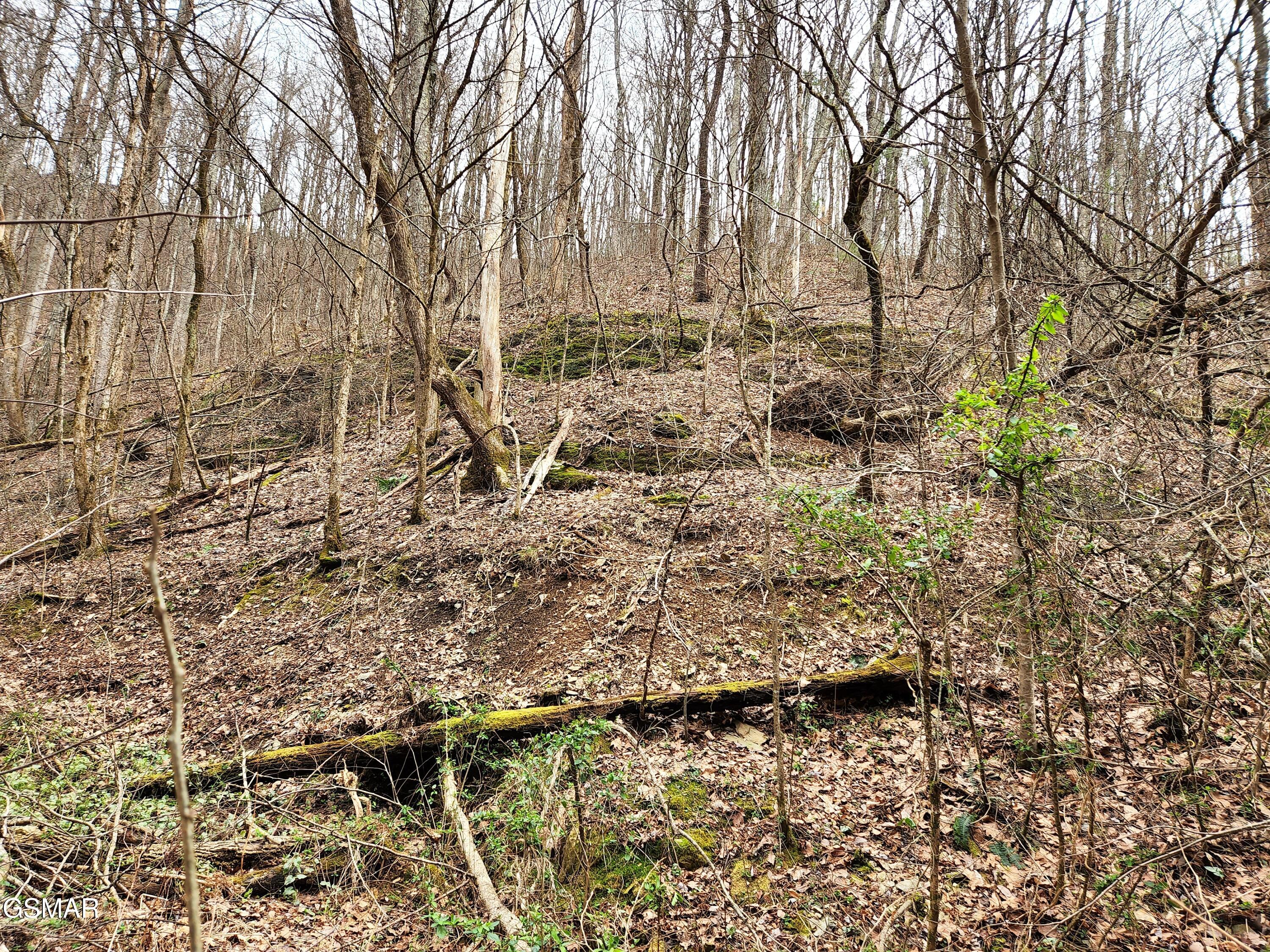 Lot 46 Feld Wynde Close Way Sevierville TN 37862