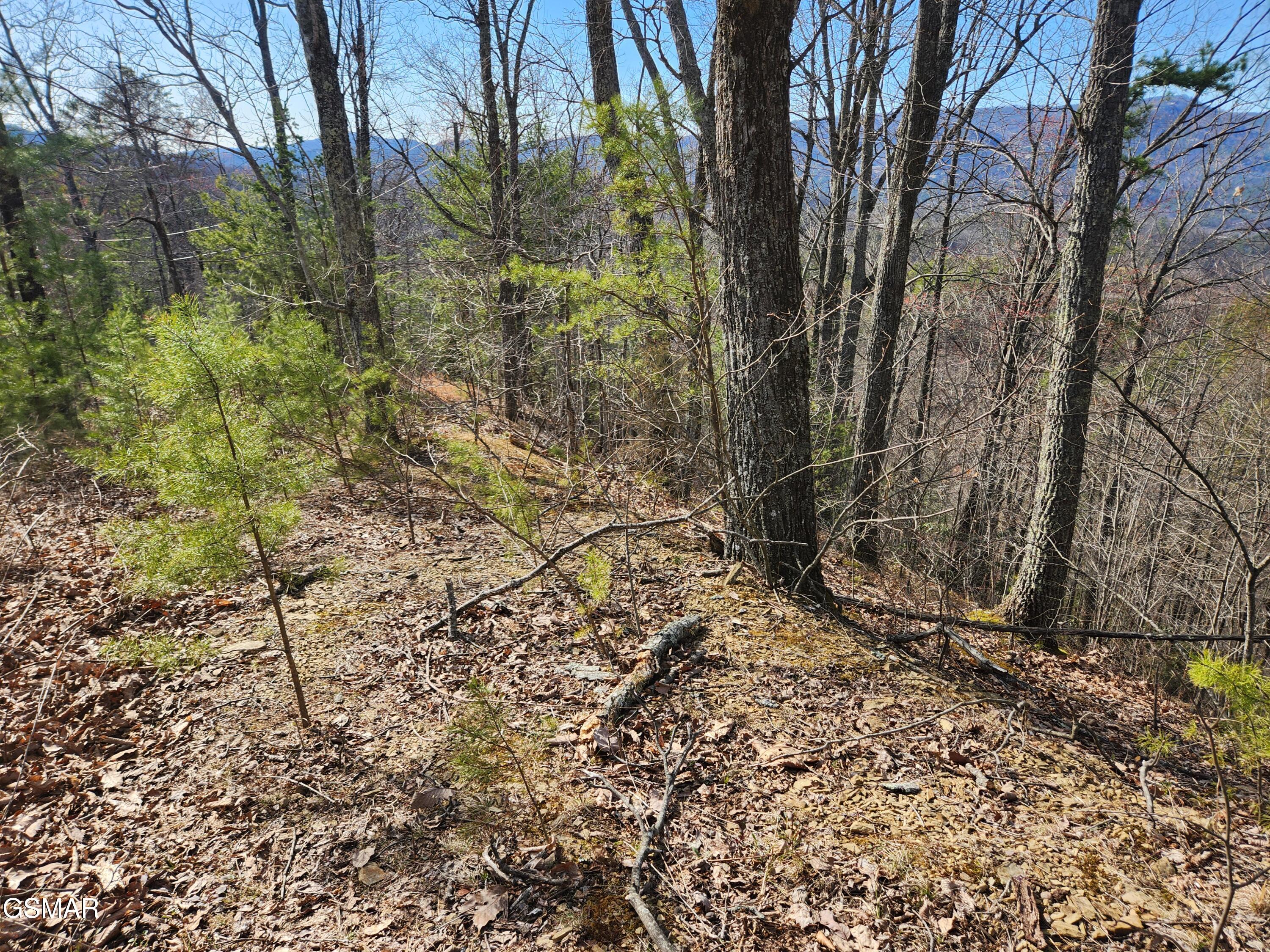 Lot 46 Feld Wynde Close Way Sevierville TN 37862