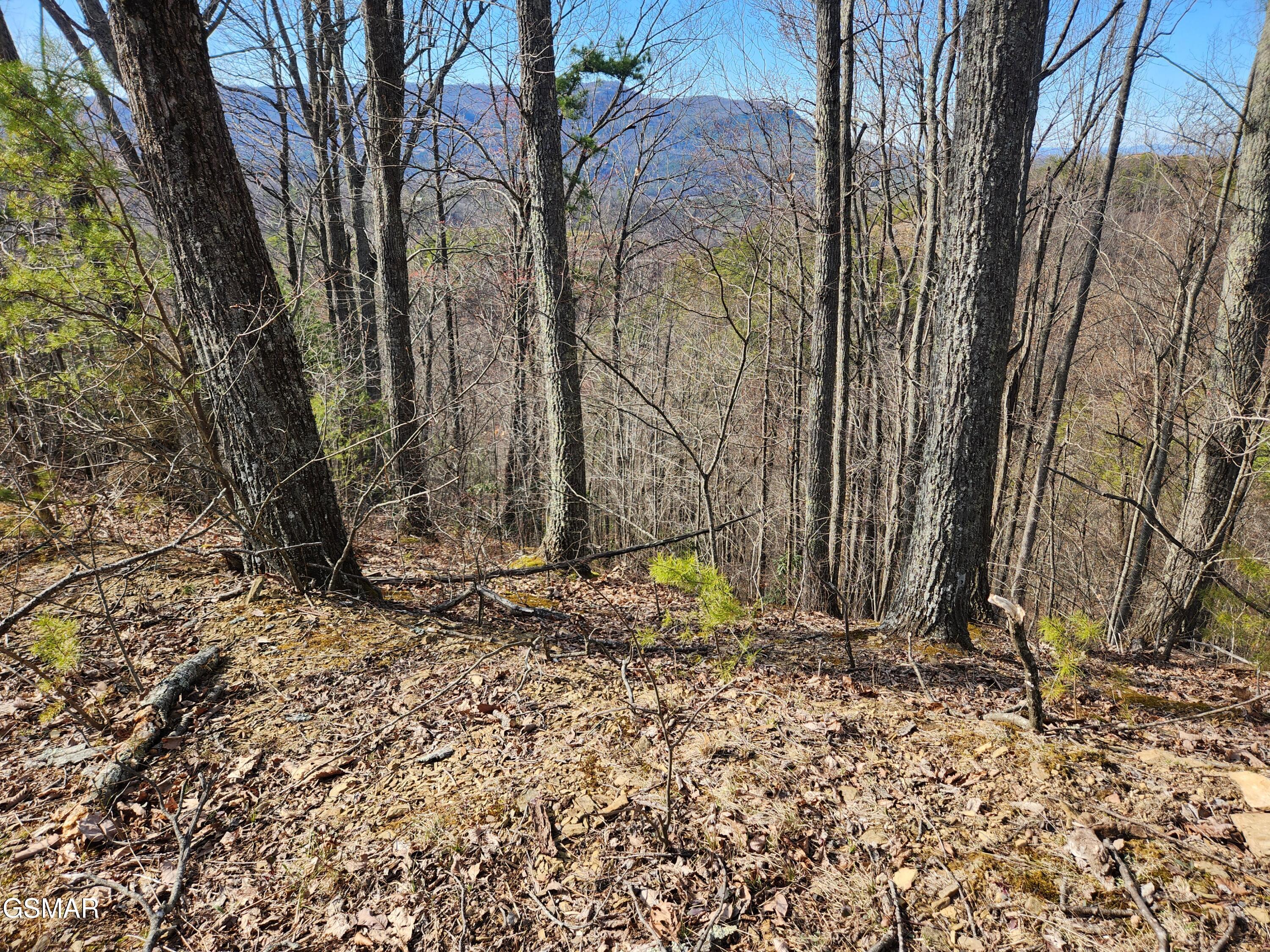 Lot 46 Feld Wynde Close Way Sevierville TN 37862