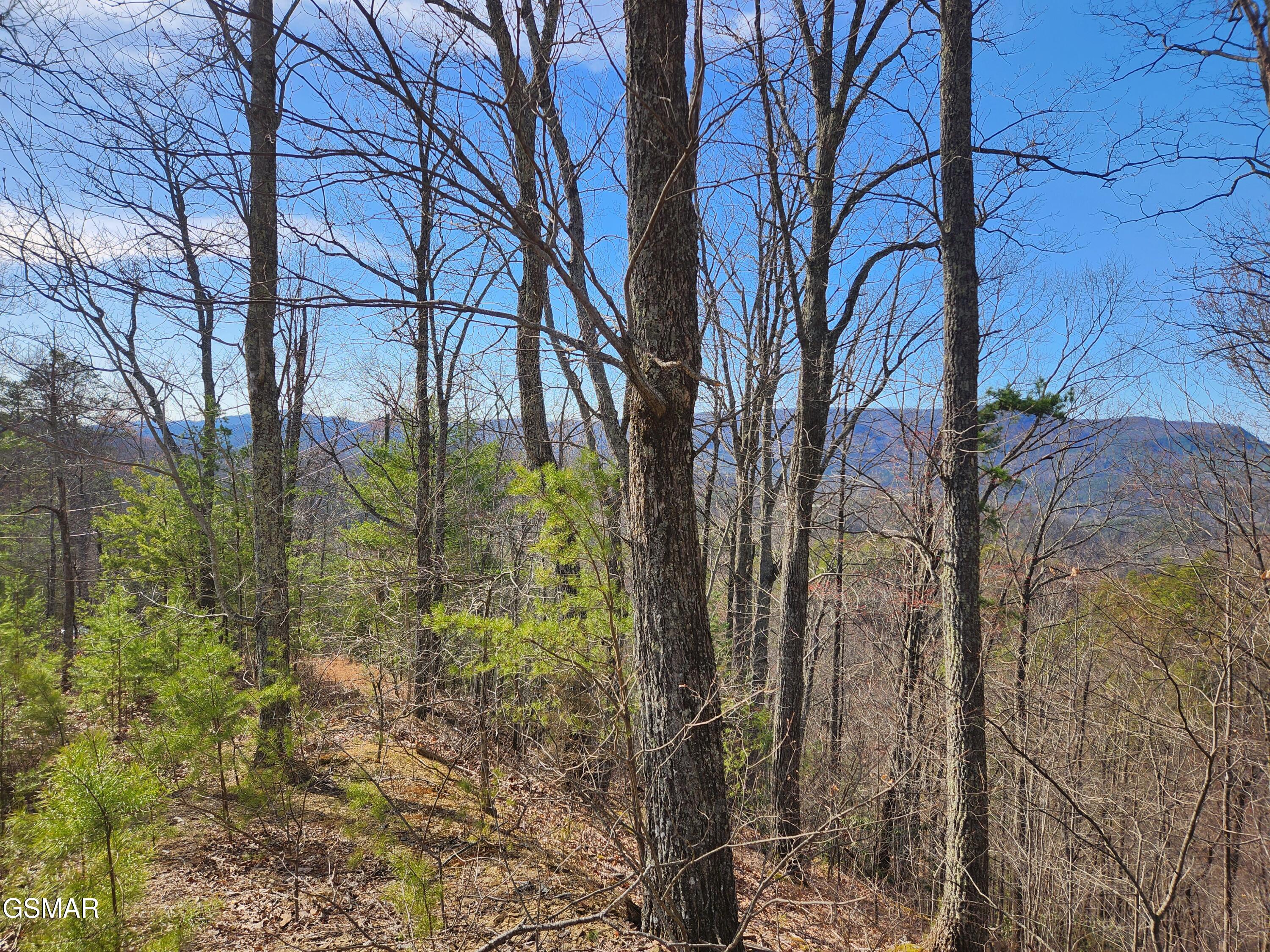 Lot 46 Feld Wynde Close Way Sevierville TN 37862