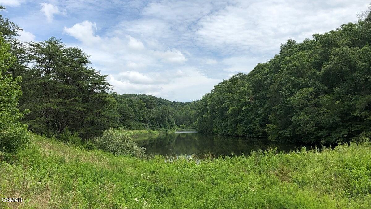 4162/283 Snyder Road And Bartlett Drive Kodak TN 37764
