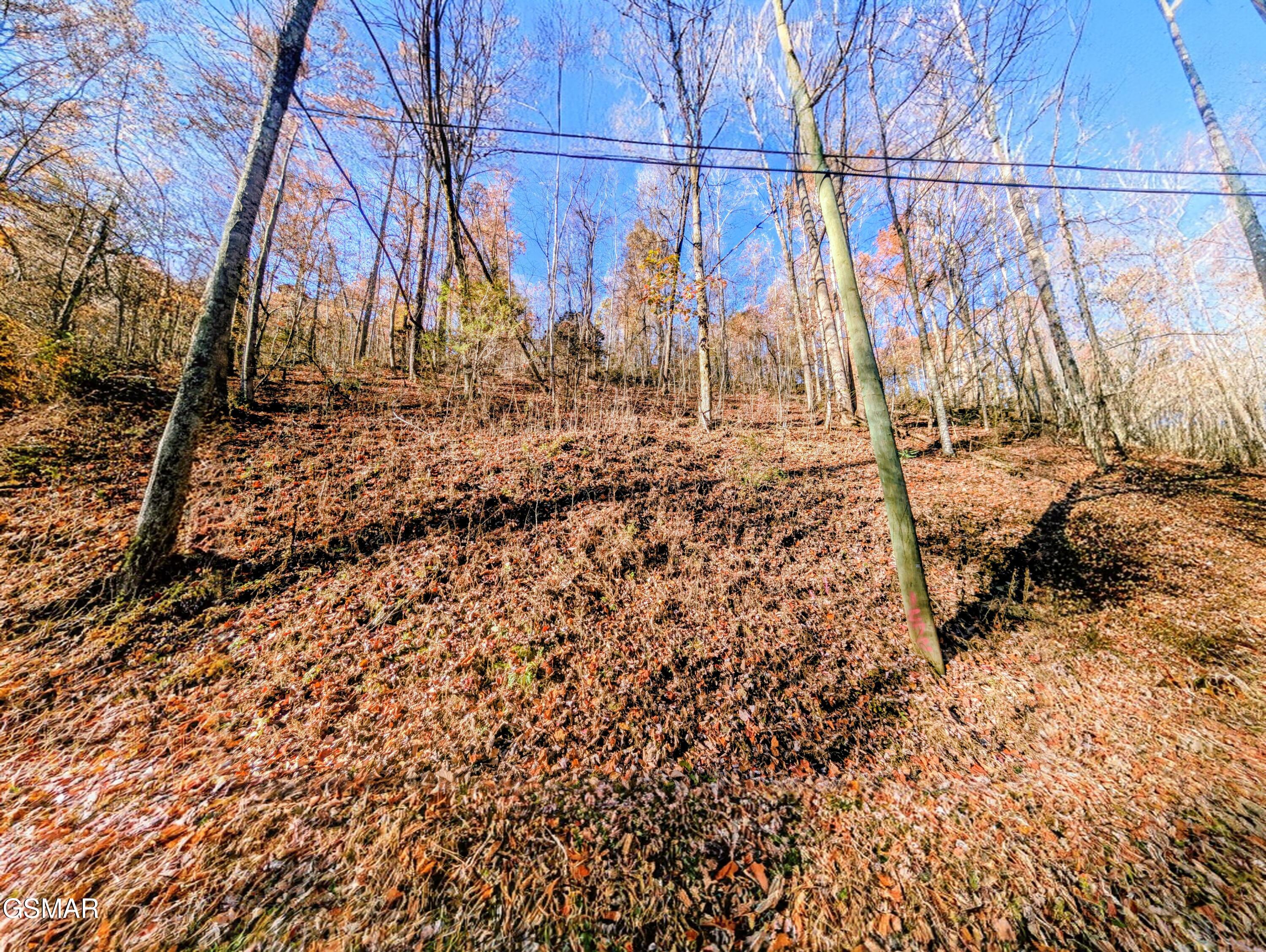 Lot 1272 Raymond Hollow Road Sevierville TN 37876