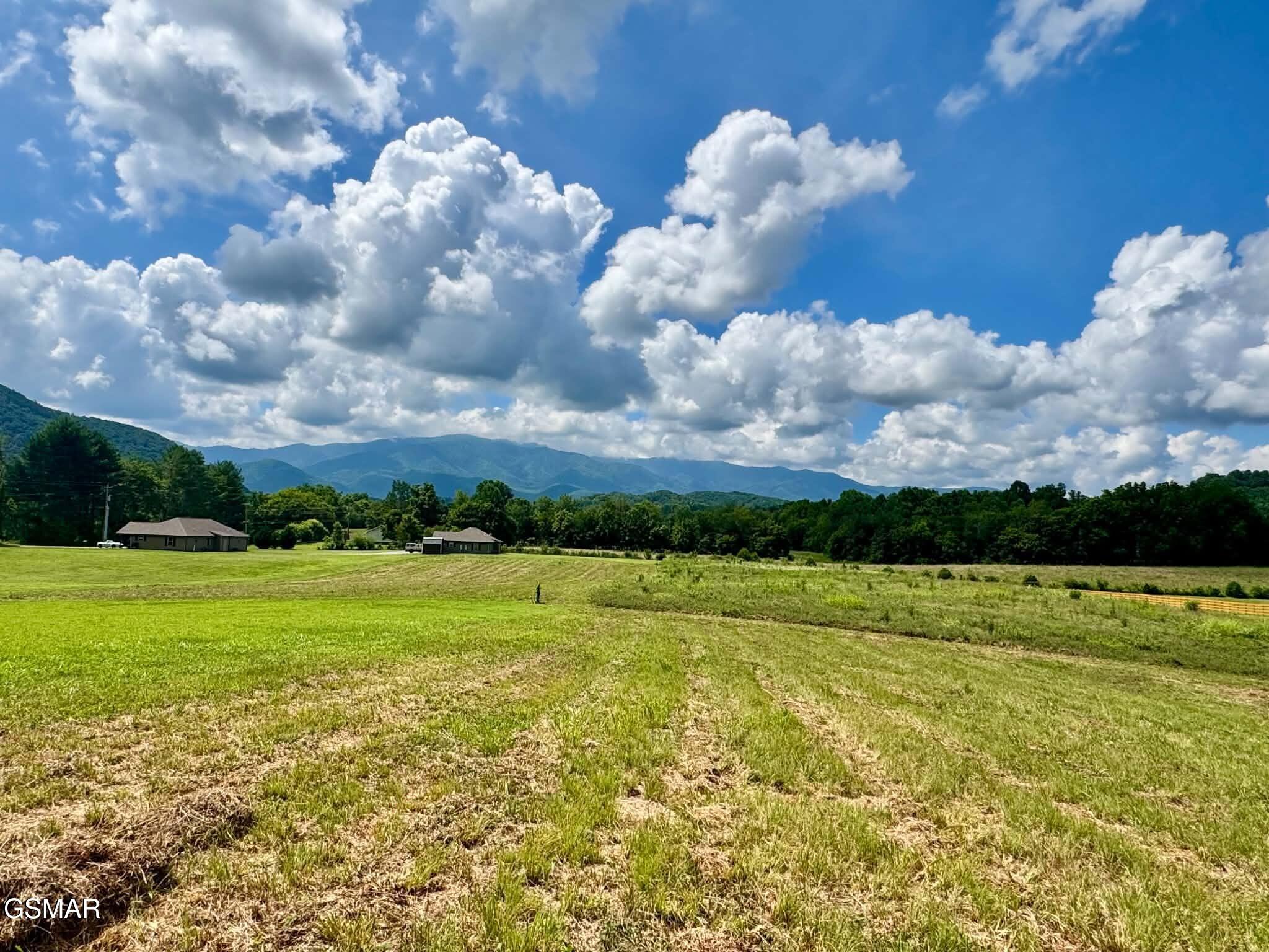 5418 Cocke County Line Road Cosby TN 37722