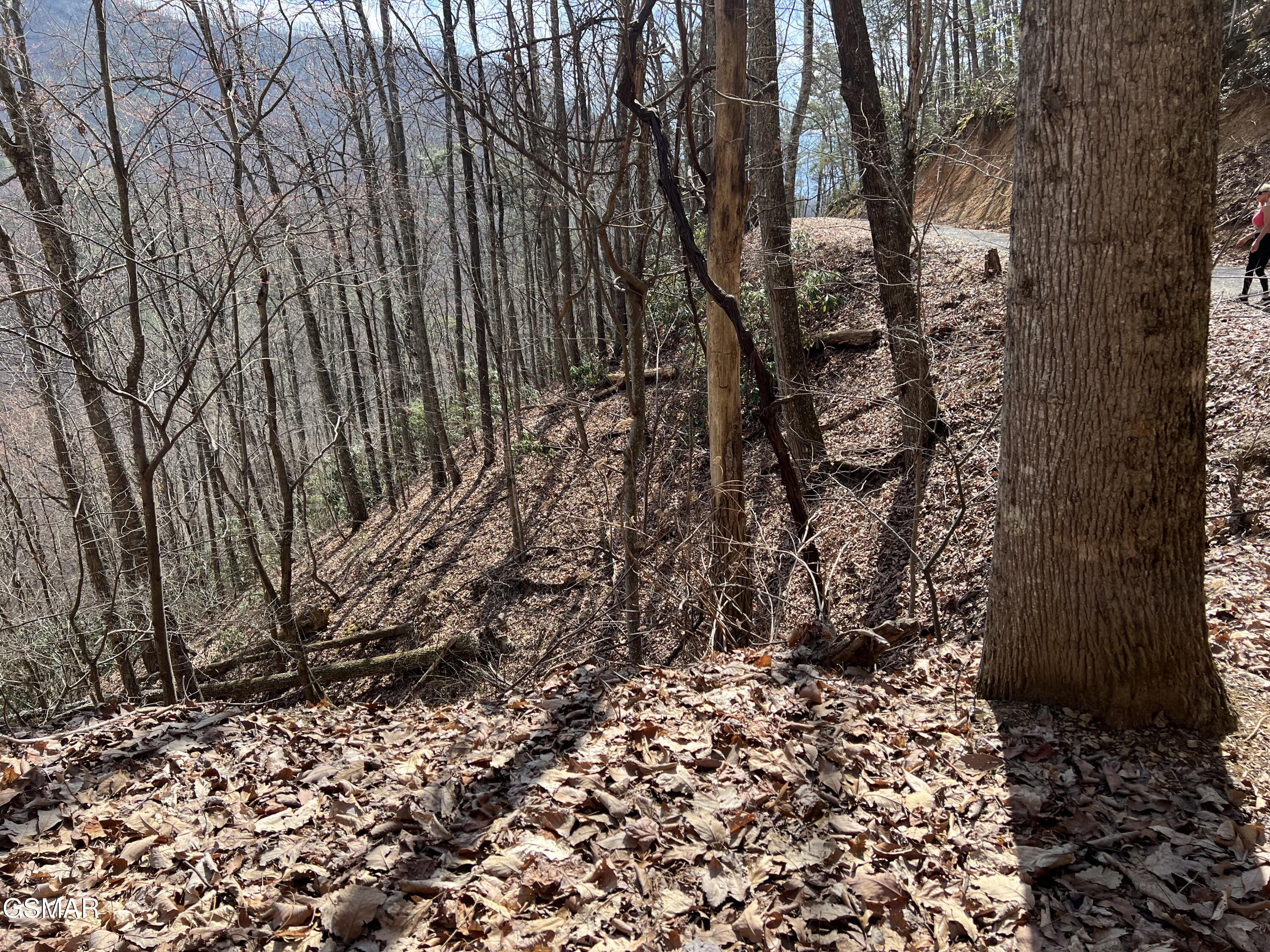 Lot 26 Aintree Drive Sevierville TN 37876