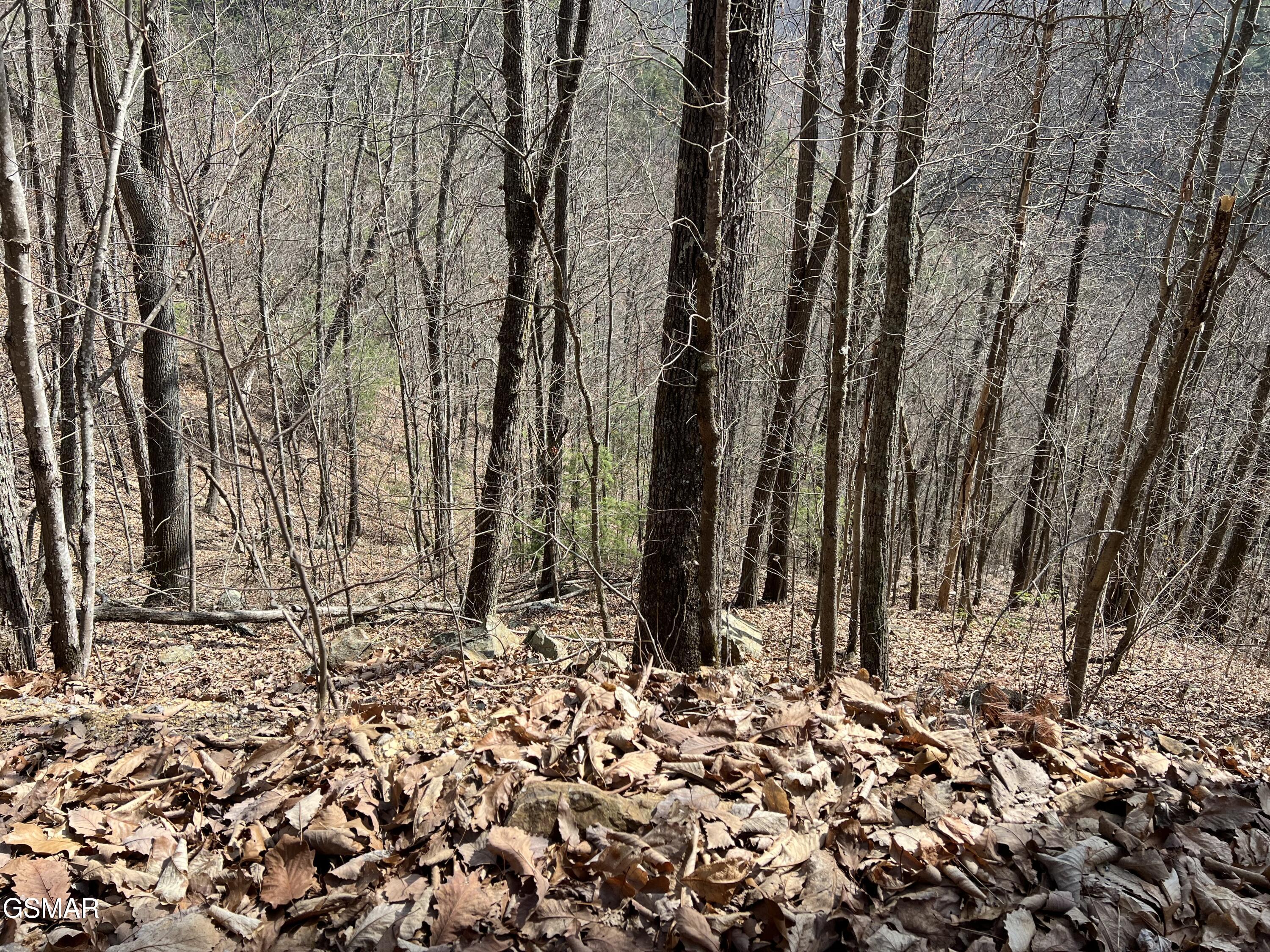 Lot 26 Aintree Drive Sevierville TN 37876