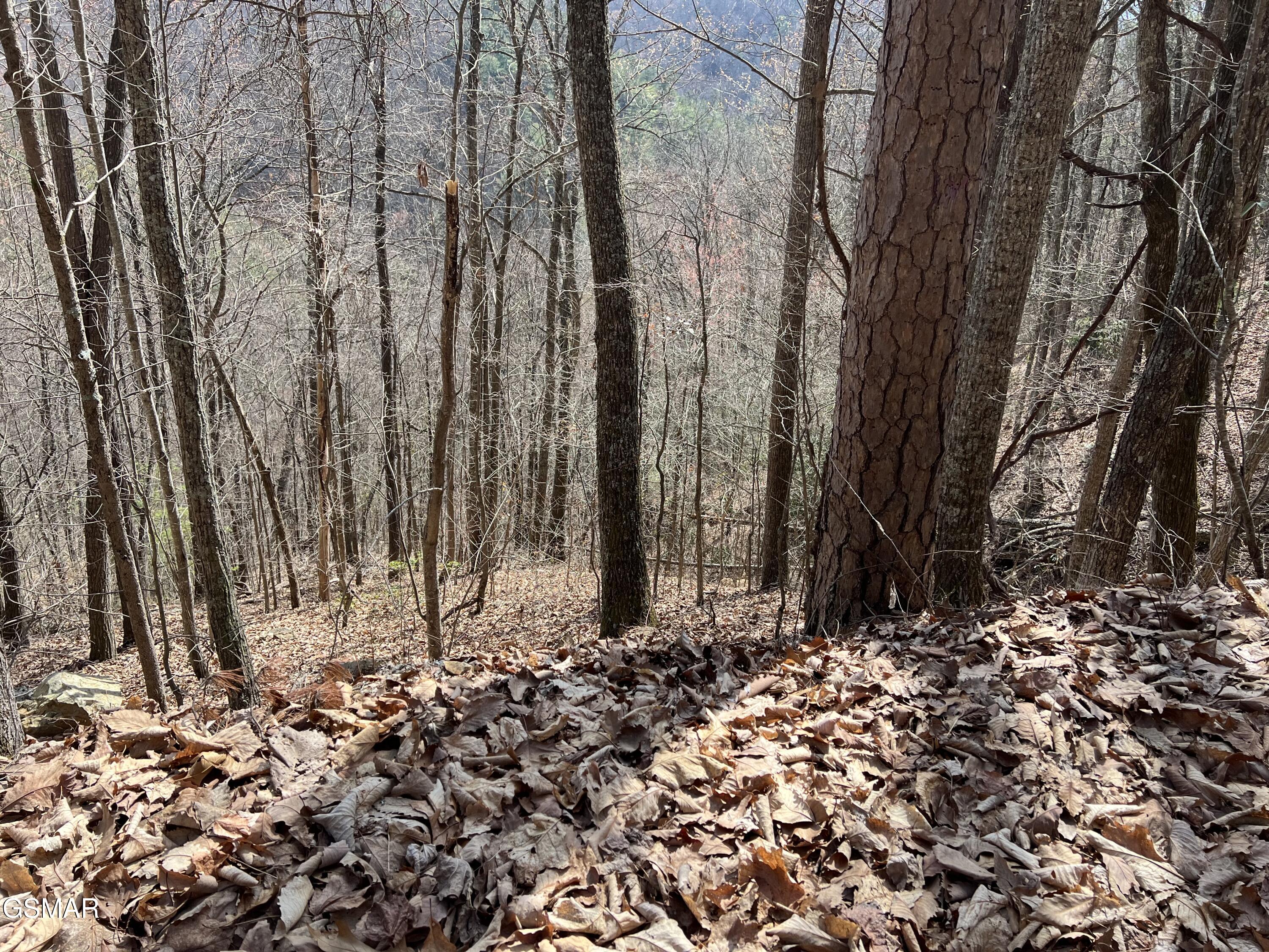 Lot 26 Aintree Drive Sevierville TN 37876
