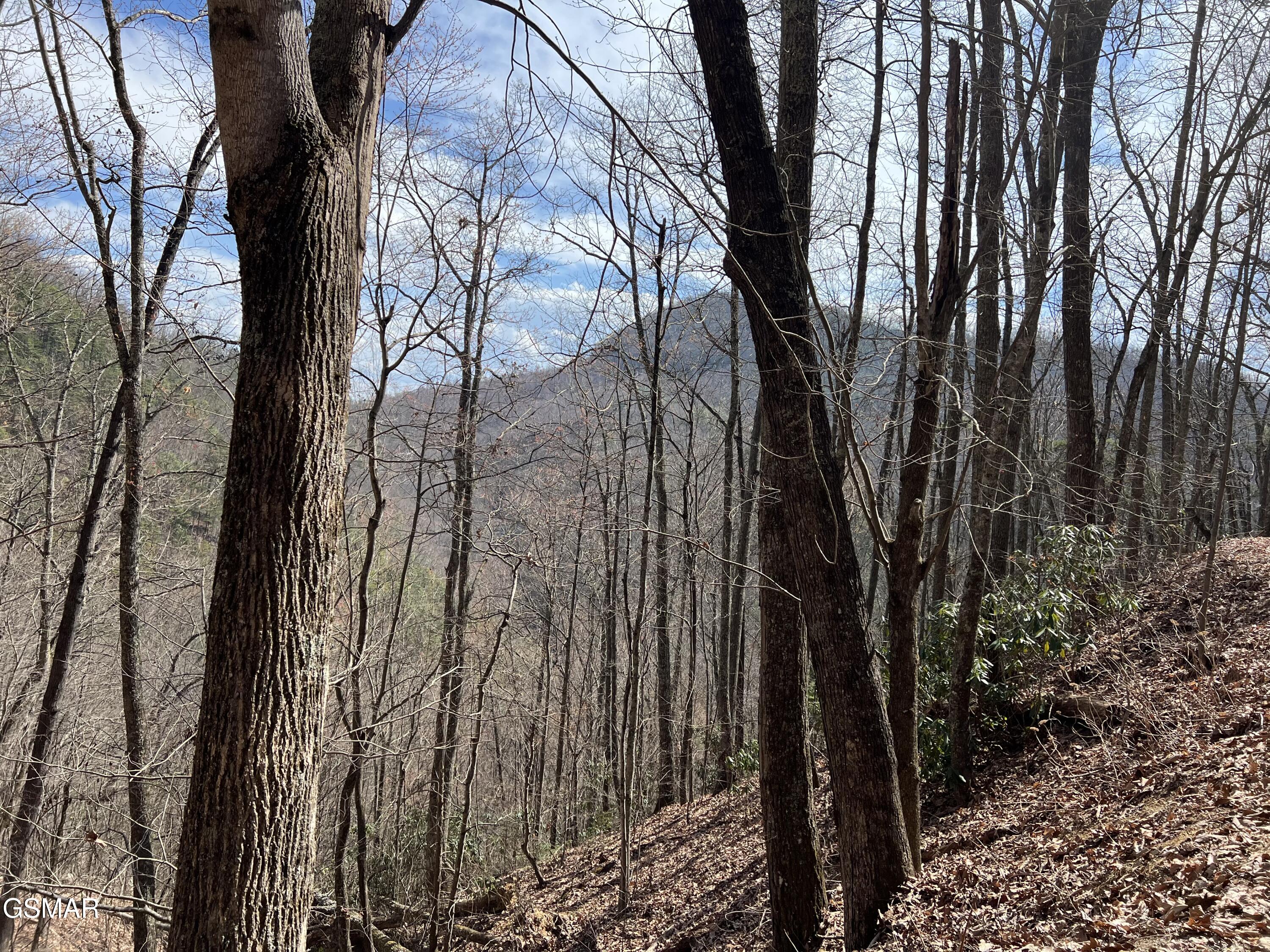 Lot 26 Aintree Drive Sevierville TN 37876