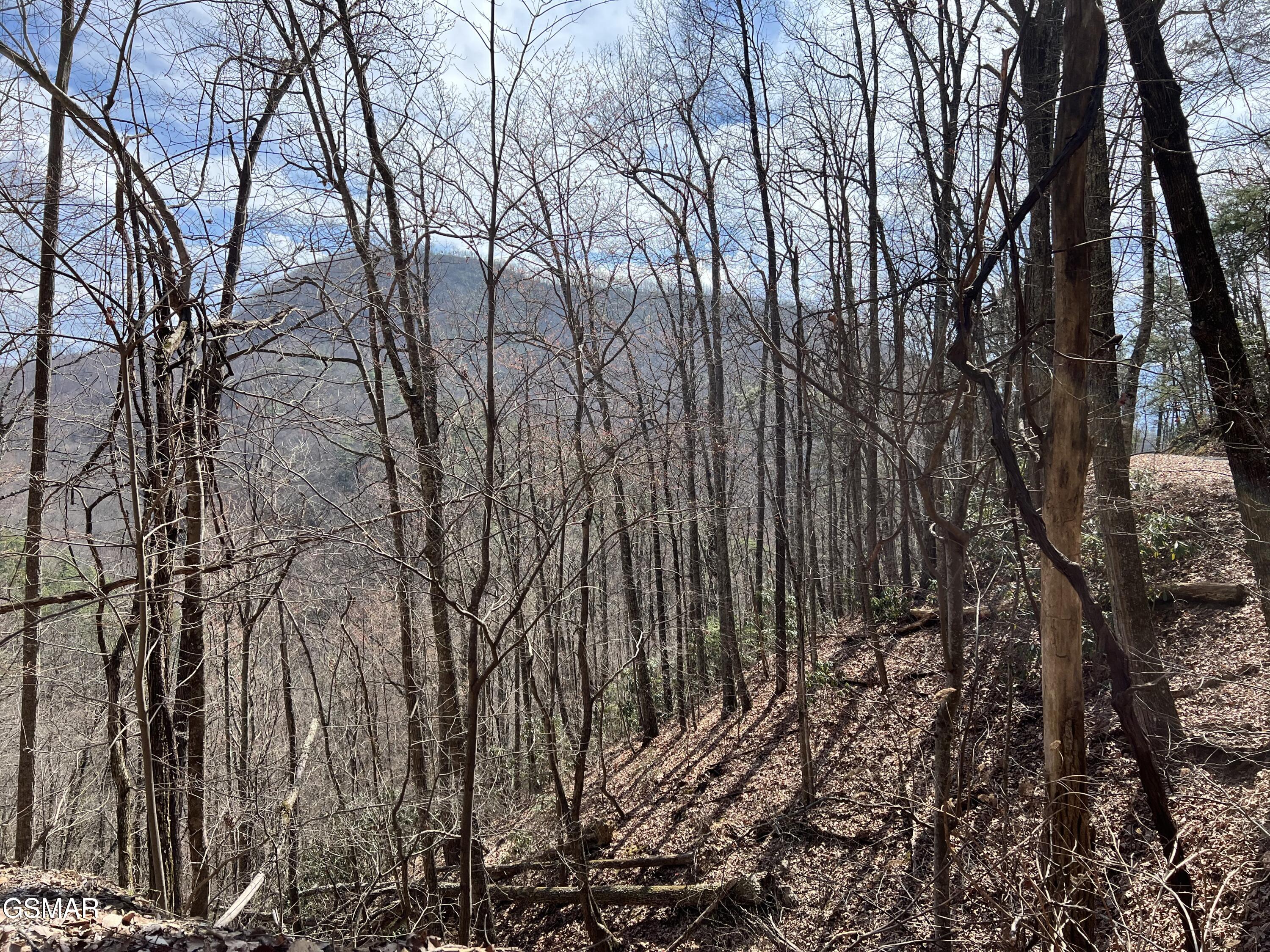 Lot 26 Aintree Drive Sevierville TN 37876