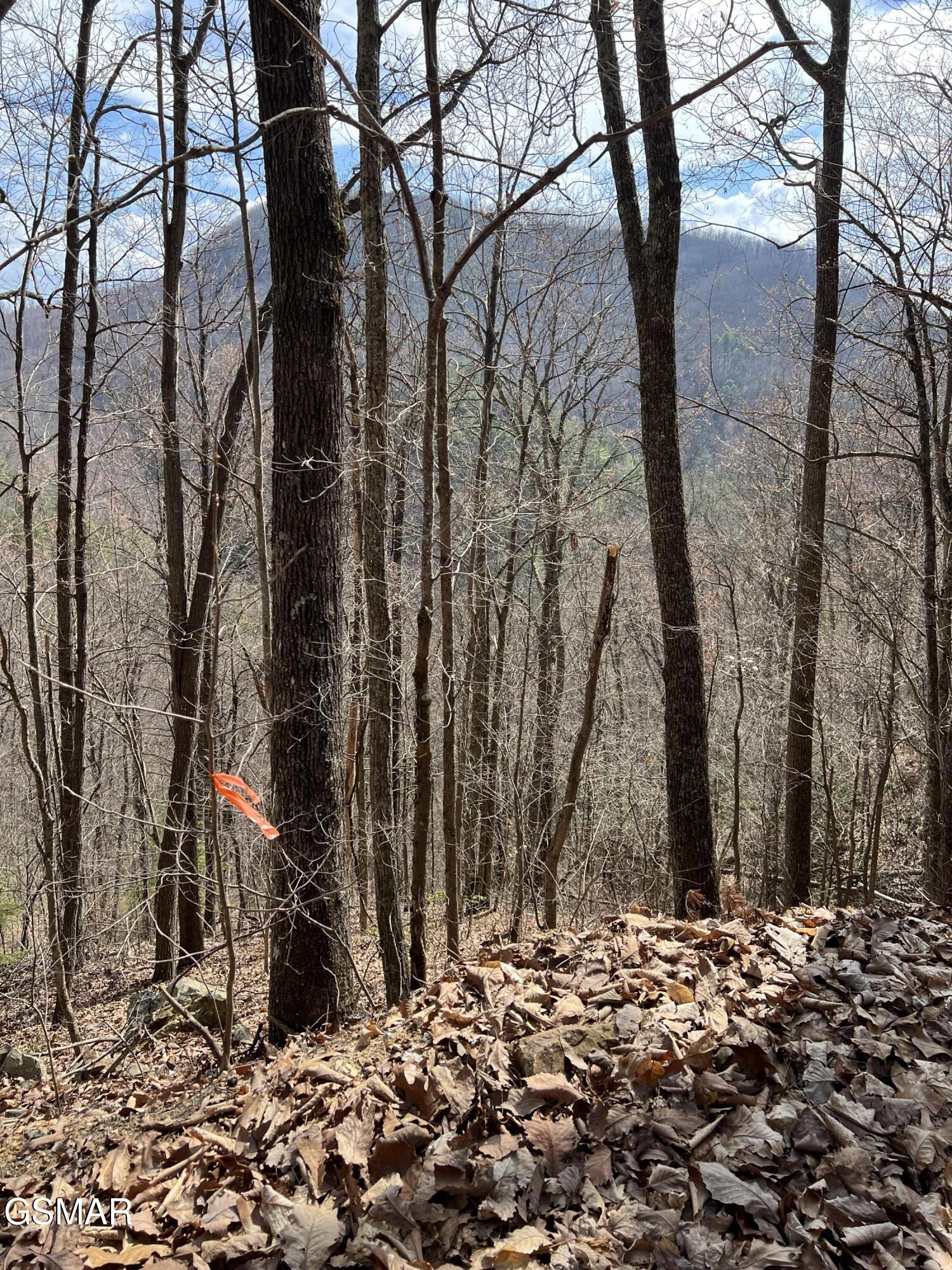 Lot 26 Aintree Drive Sevierville TN 37876