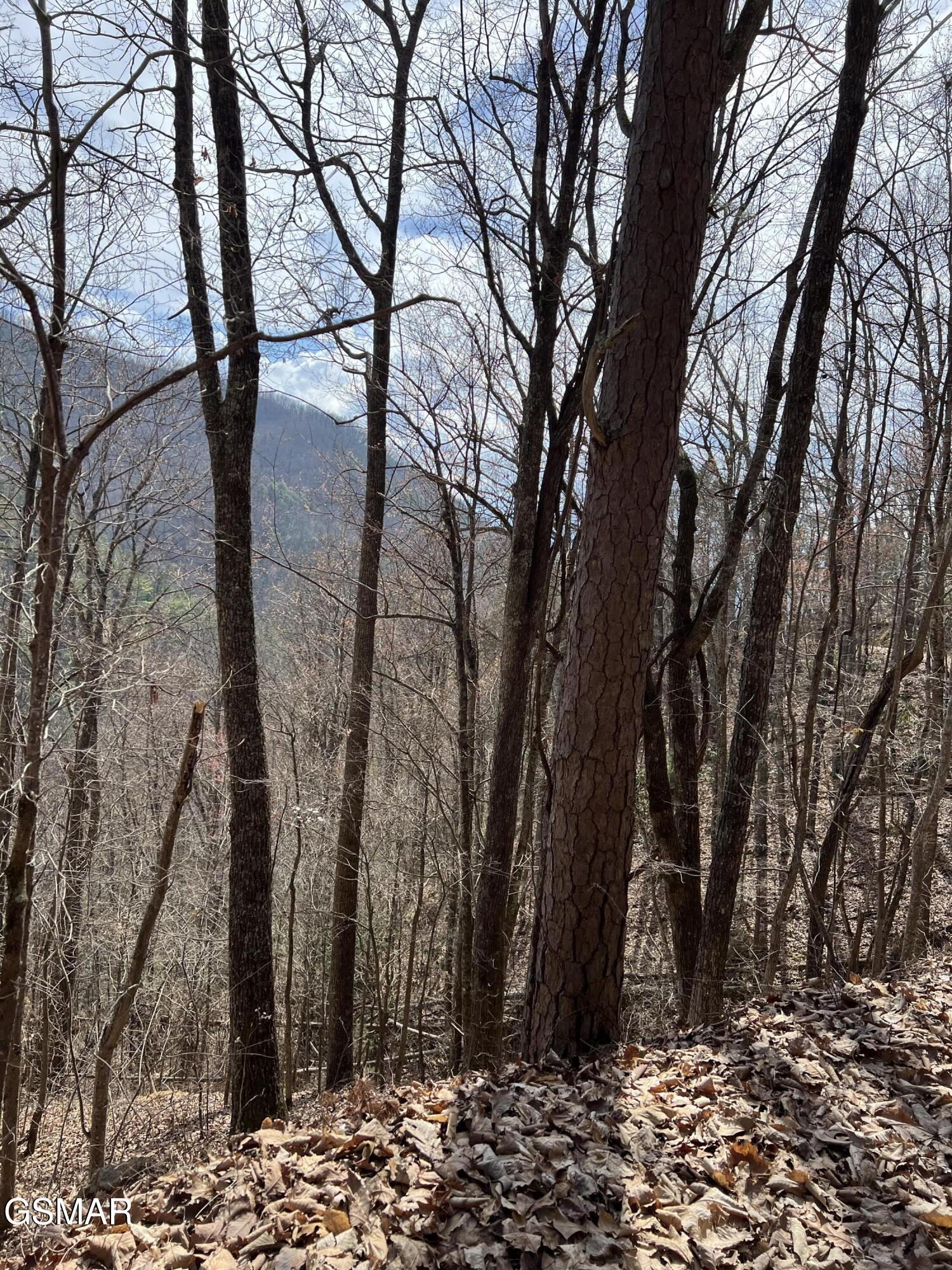 Lot 26 Aintree Drive Sevierville TN 37876