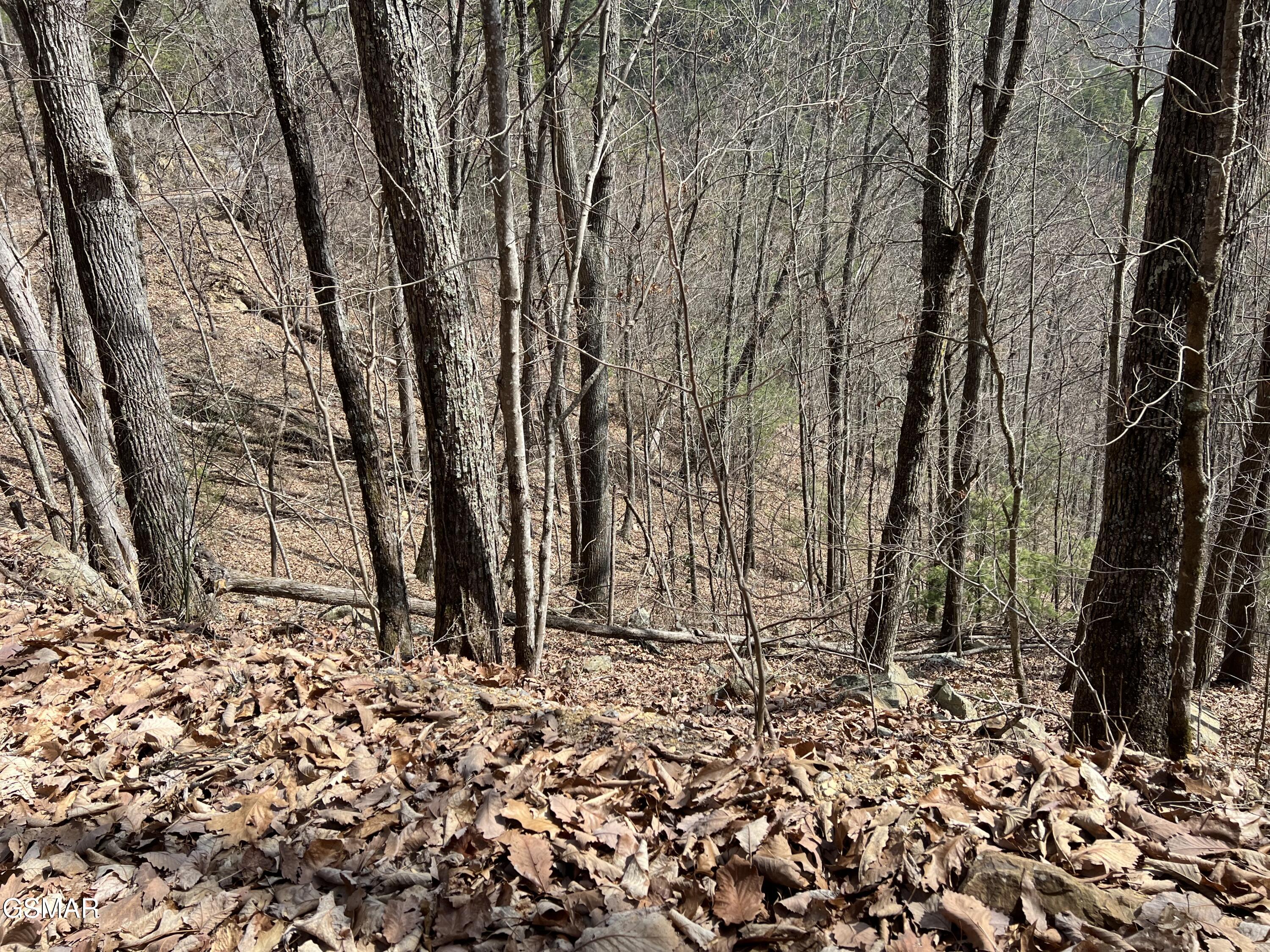 Lot 26 Aintree Drive Sevierville TN 37876