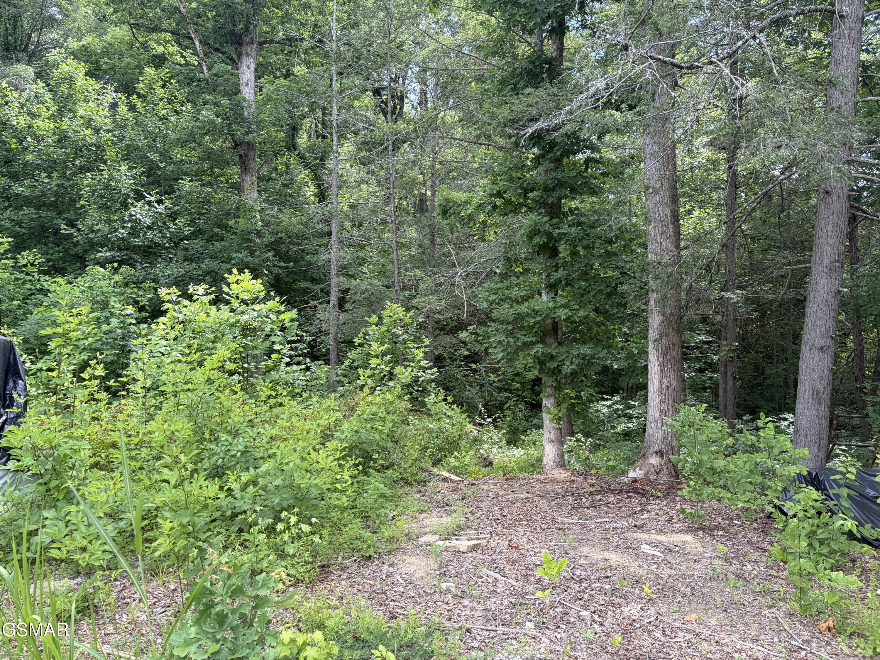 2708 Dayne Drive Sevierville TN 37876
