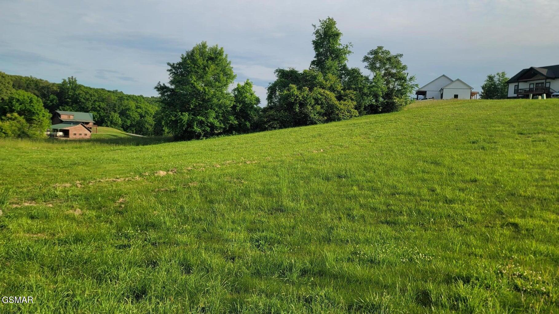Lot 41 Shiloh Springs Road Rutledge TN 37861