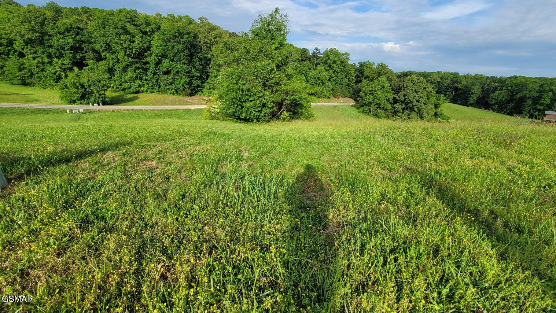 Lot 41 Shiloh Springs Road Rutledge TN 37861